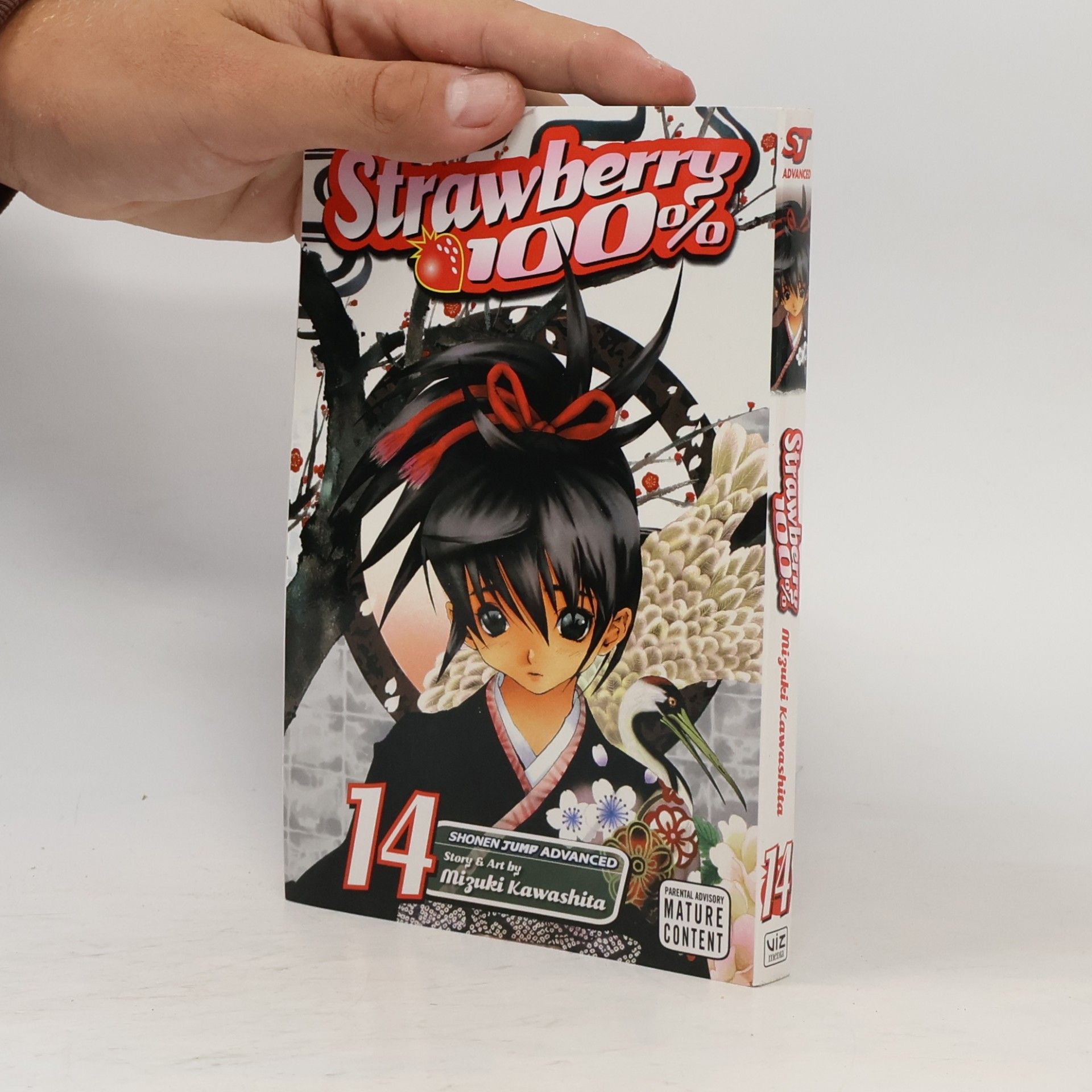 Mizuki Kawashita Strawberry 100%