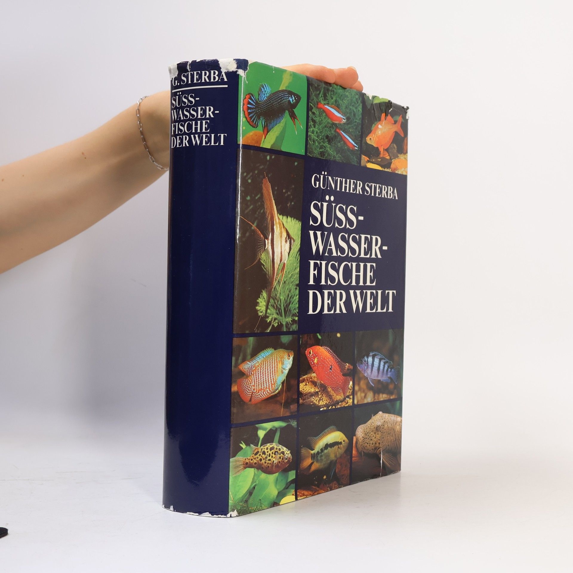 Süsswasserfische der Welt