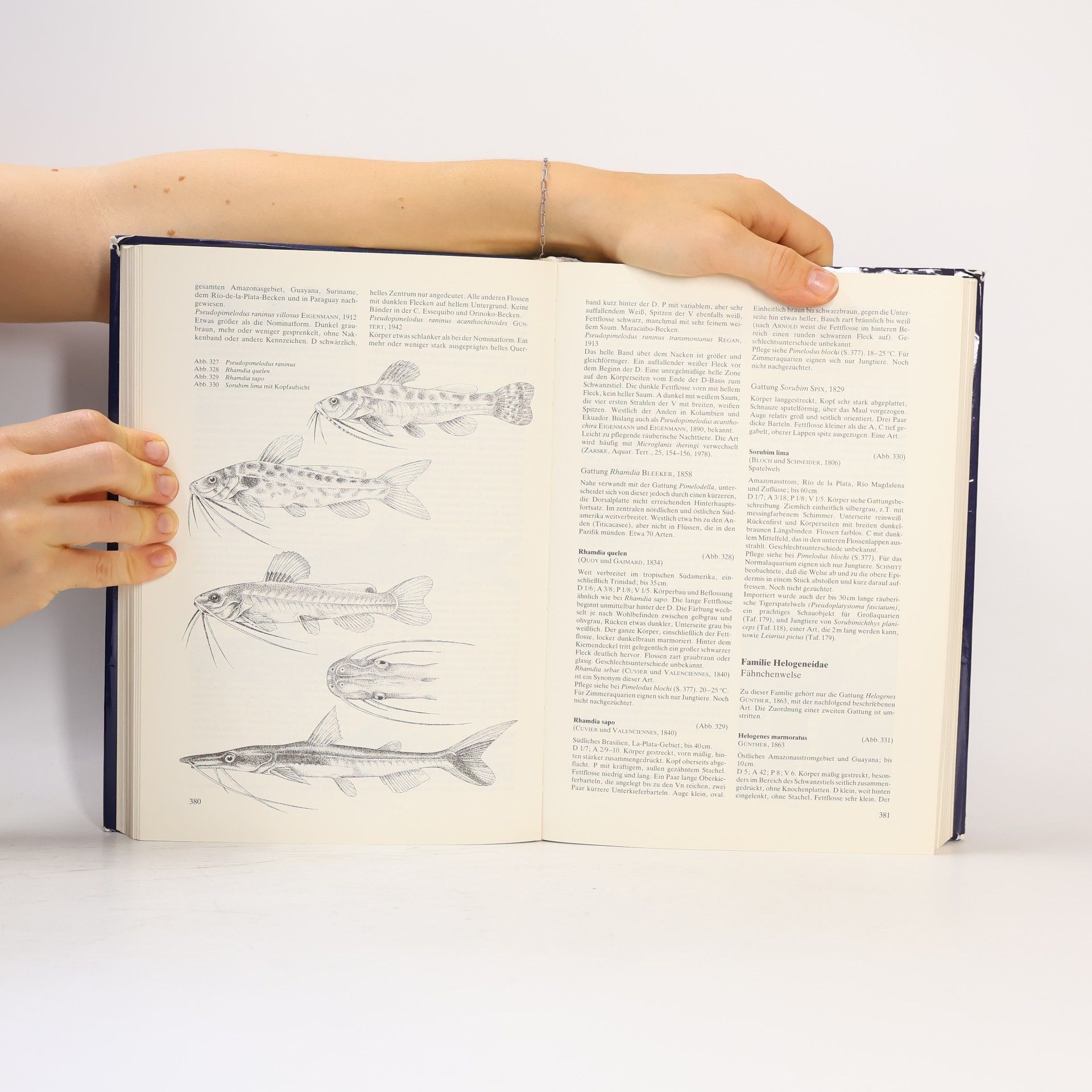 Günther Sterba Süsswasserfische der Welt