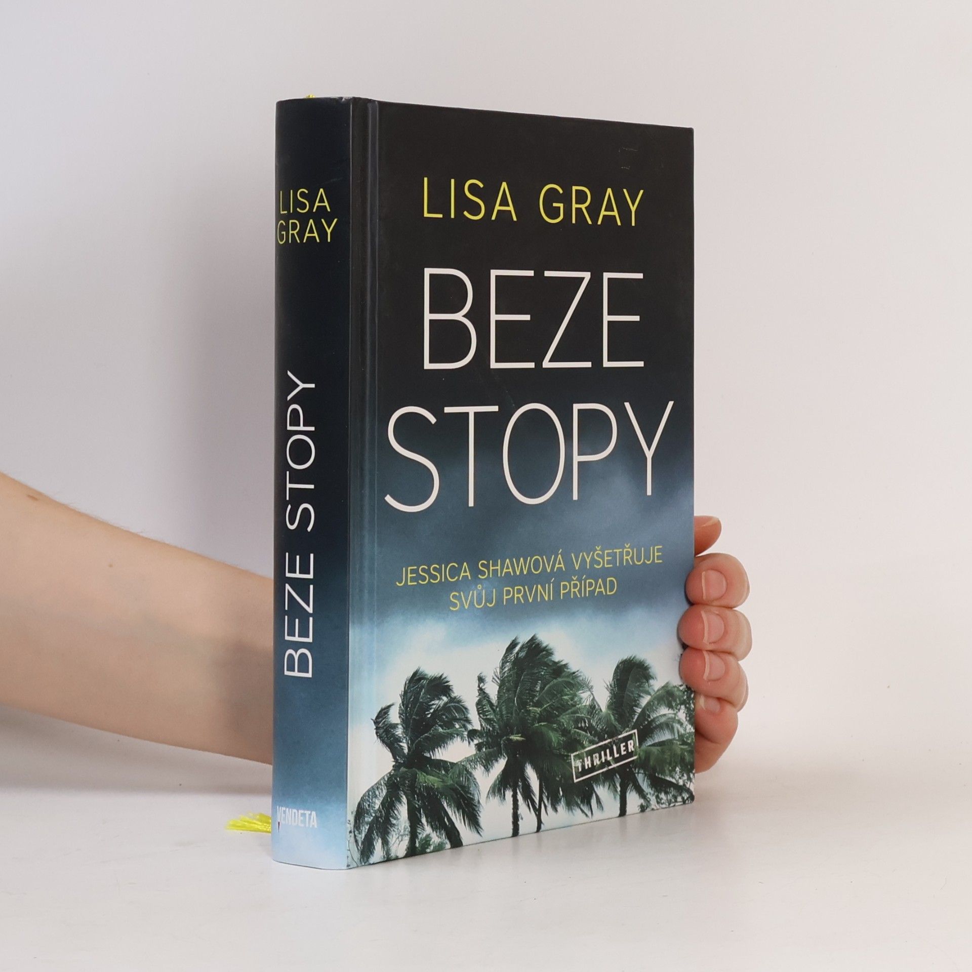 Lisa Gray Beze stopy