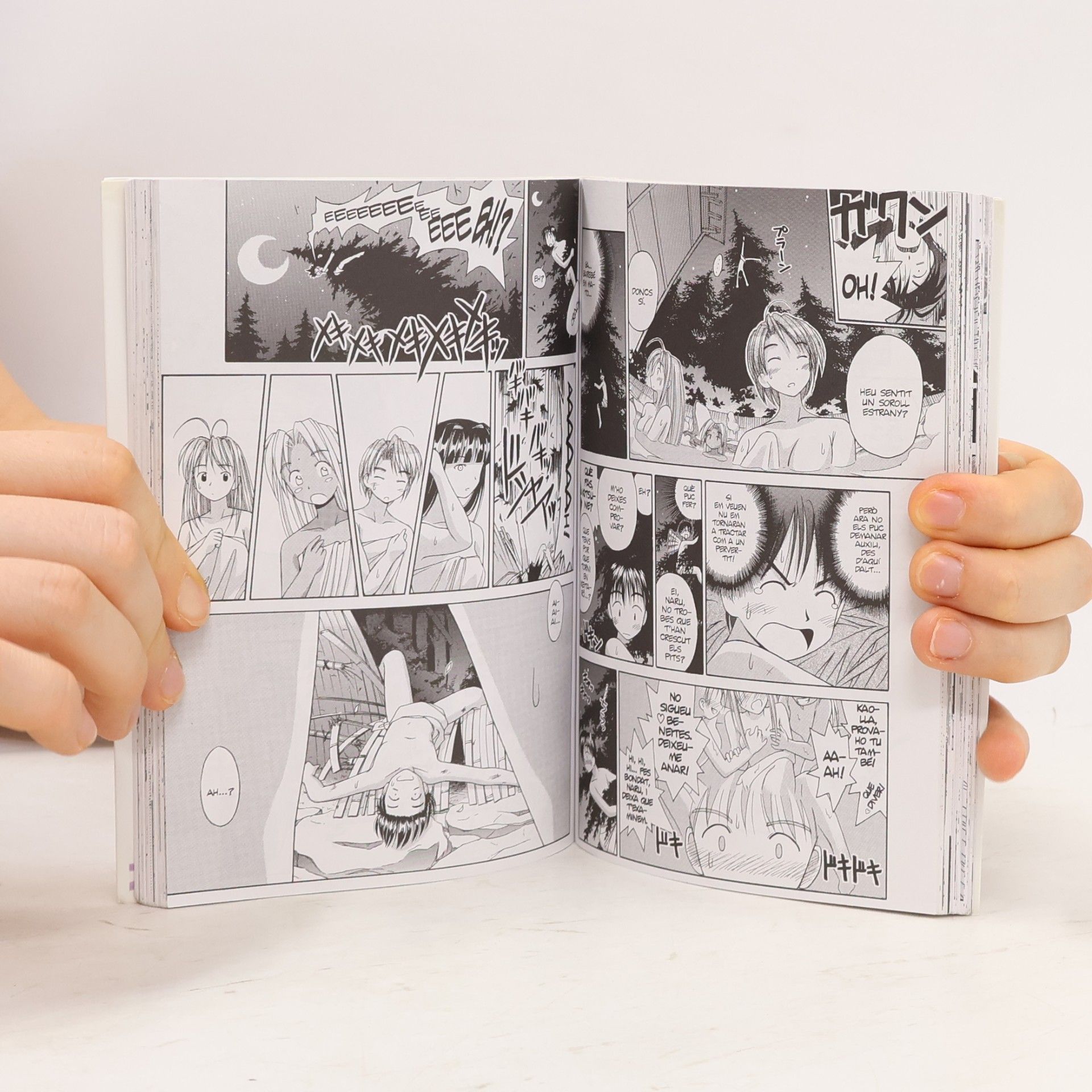 Ken Akamatsu Love Hina