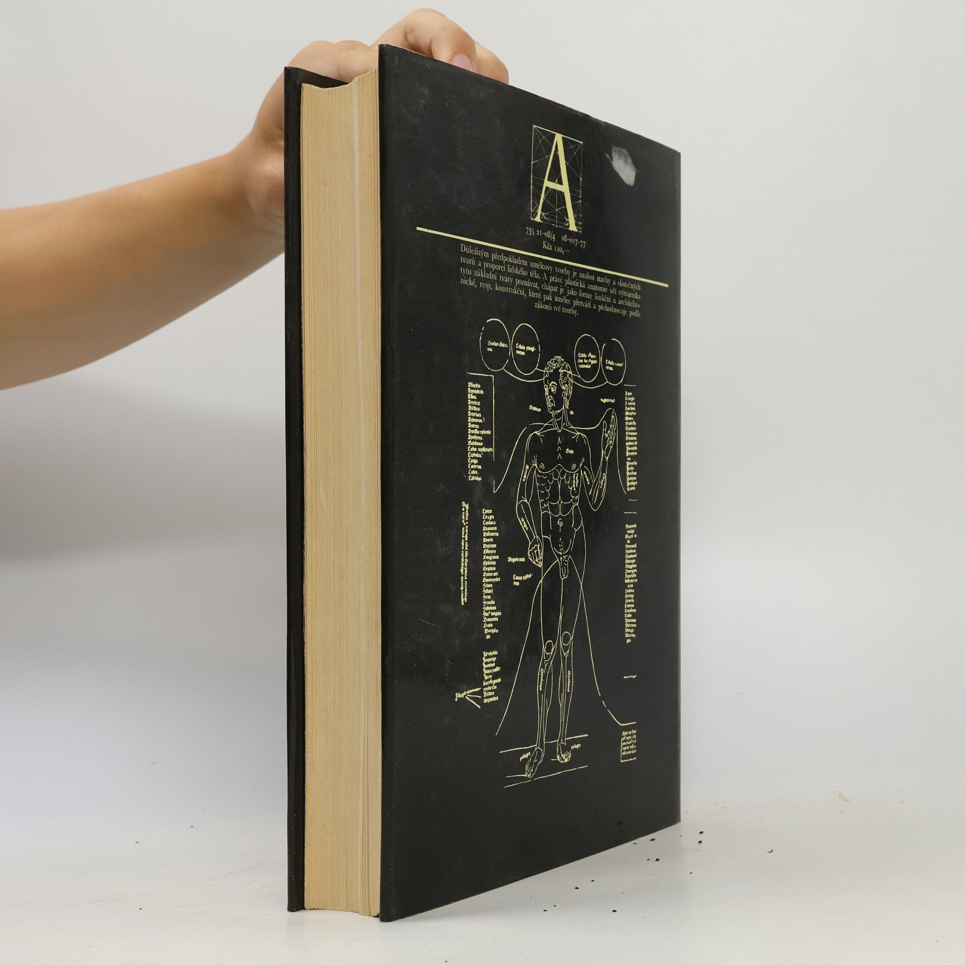Josef Zrzavý Anatomie pro výtvarníky