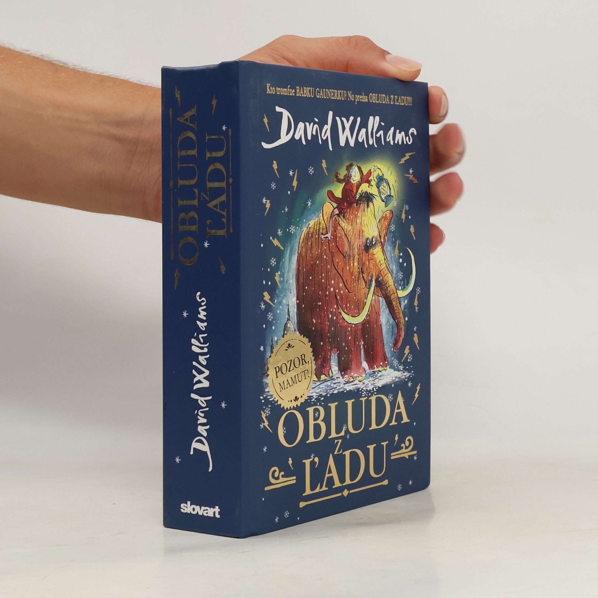 David Walliams Obluda z ľadu