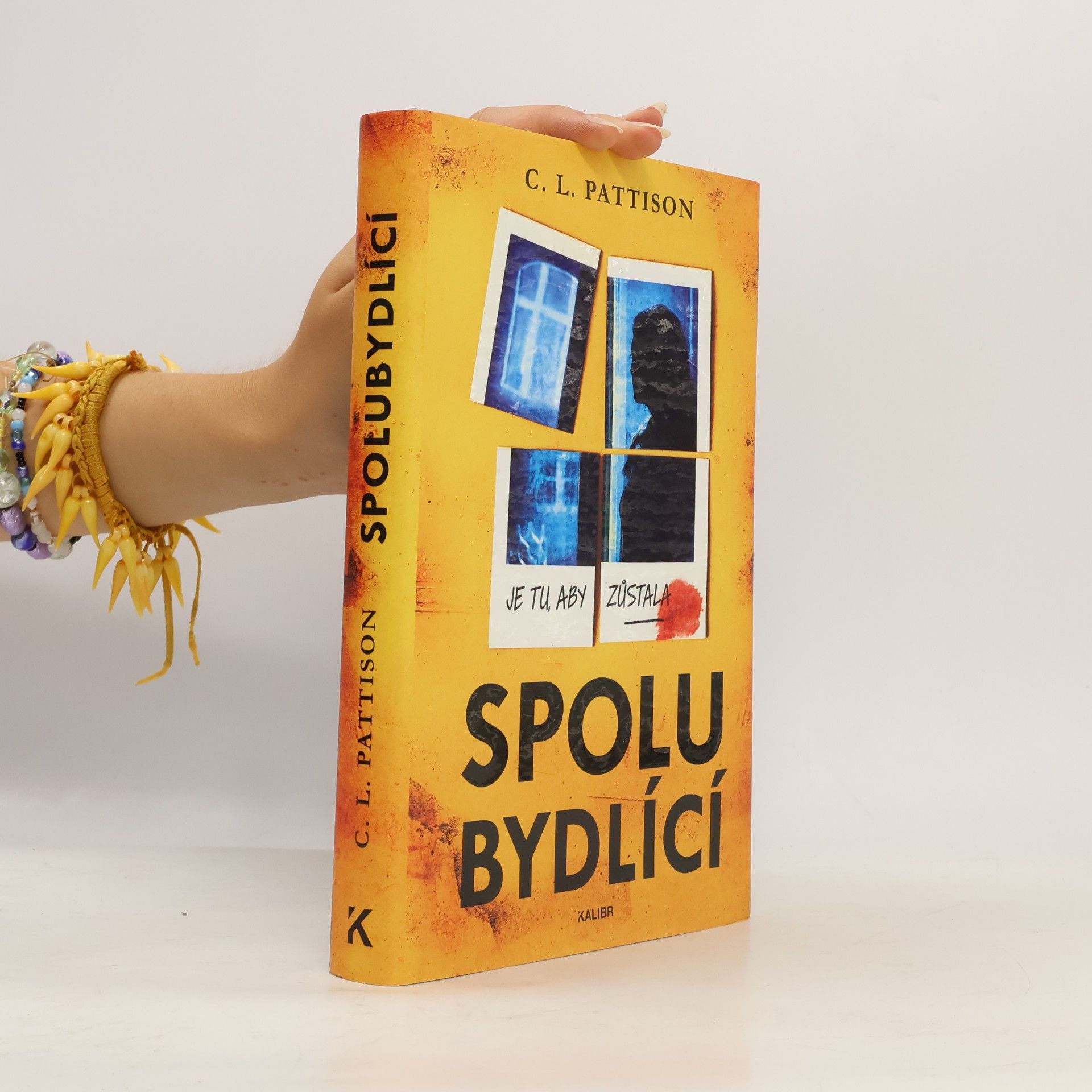 Spolubydlící