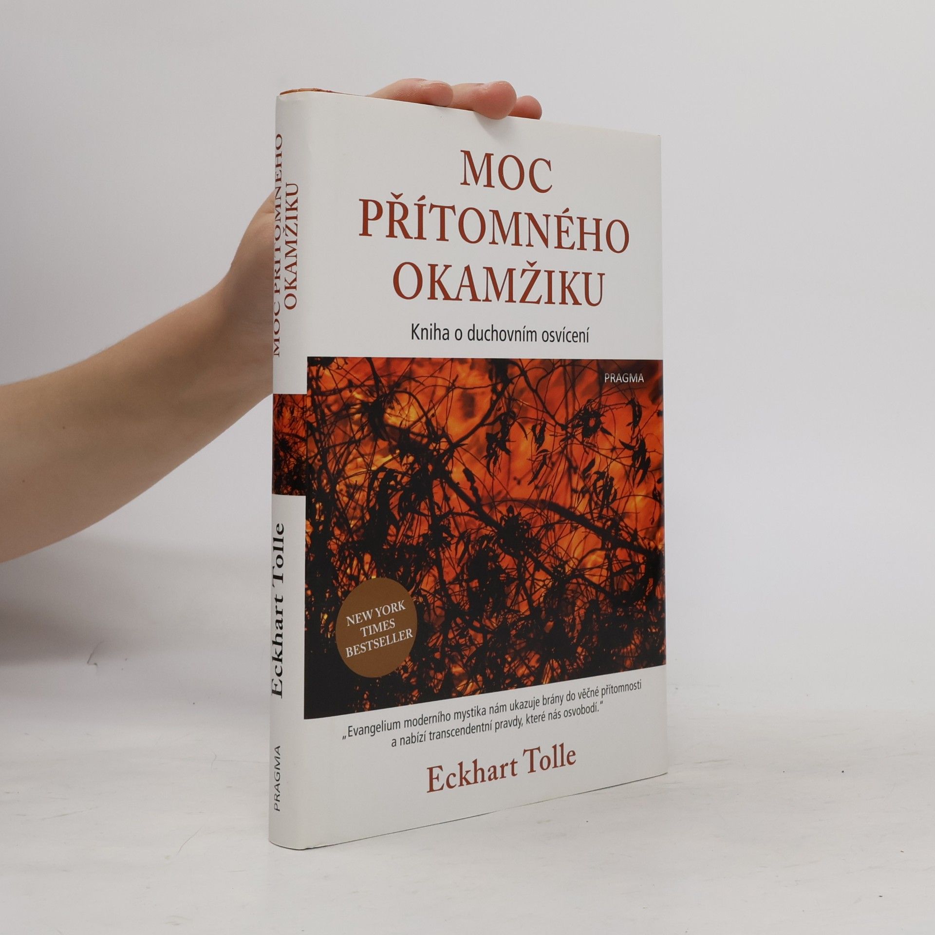Eckhart Tolle Moc přítomného okamžiku