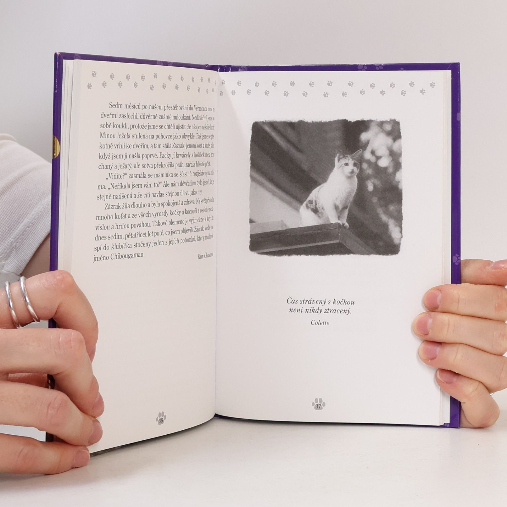 Jack Canfield Slepičí minipolévka o kočičí duši