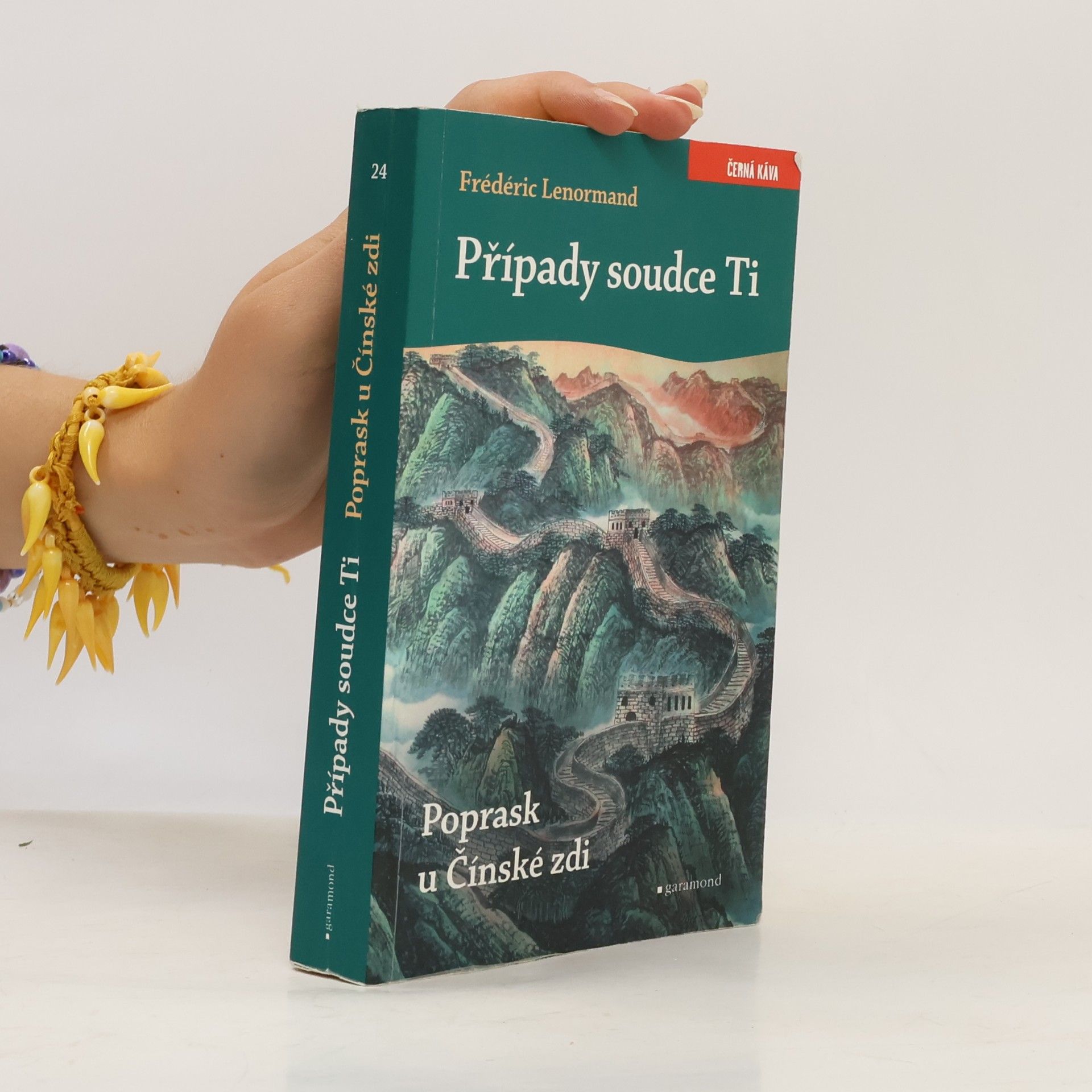 Poprask u Čínské zdi. Případy soudce Ti.