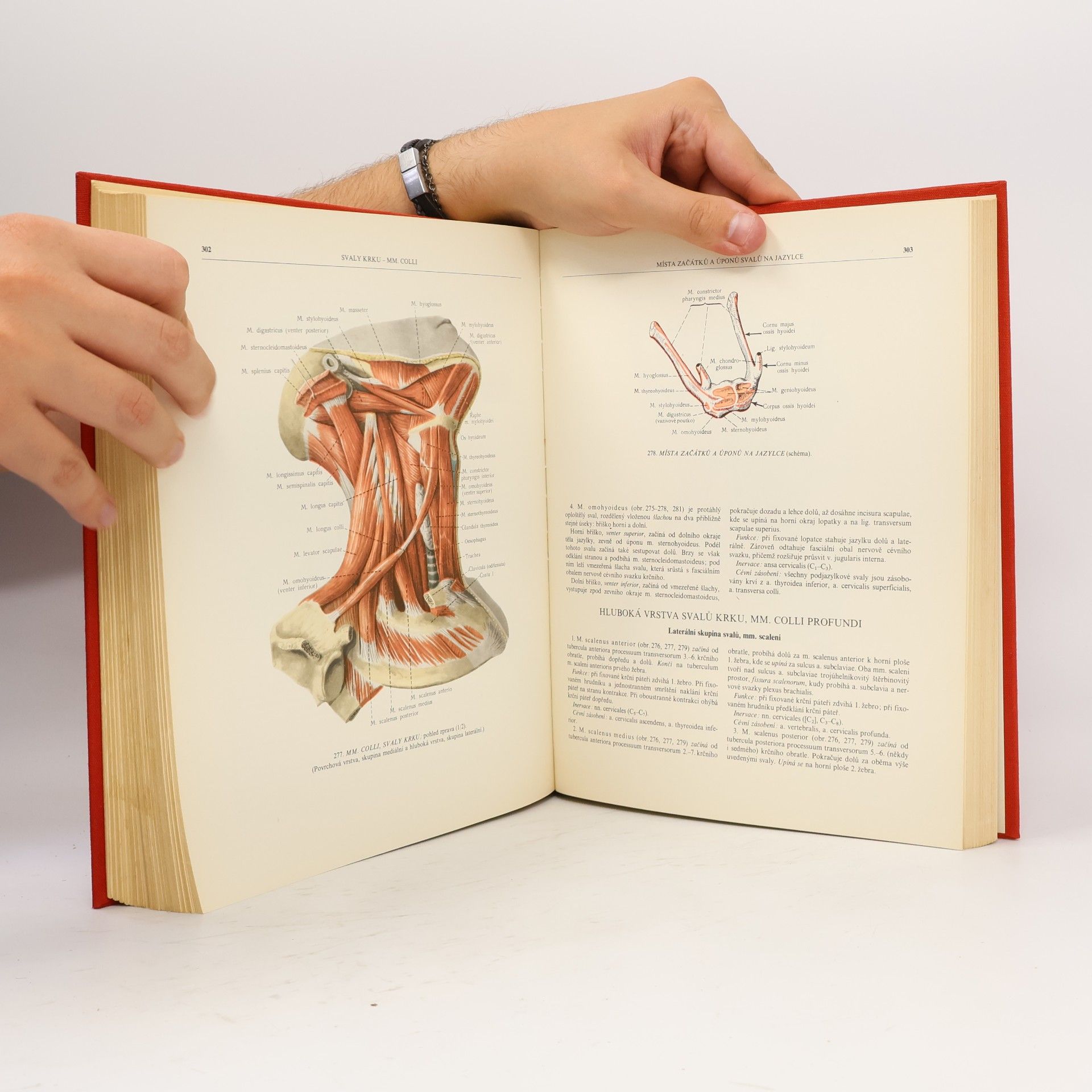 R. D. Sinělnikov Atlas anatomie člověka I.