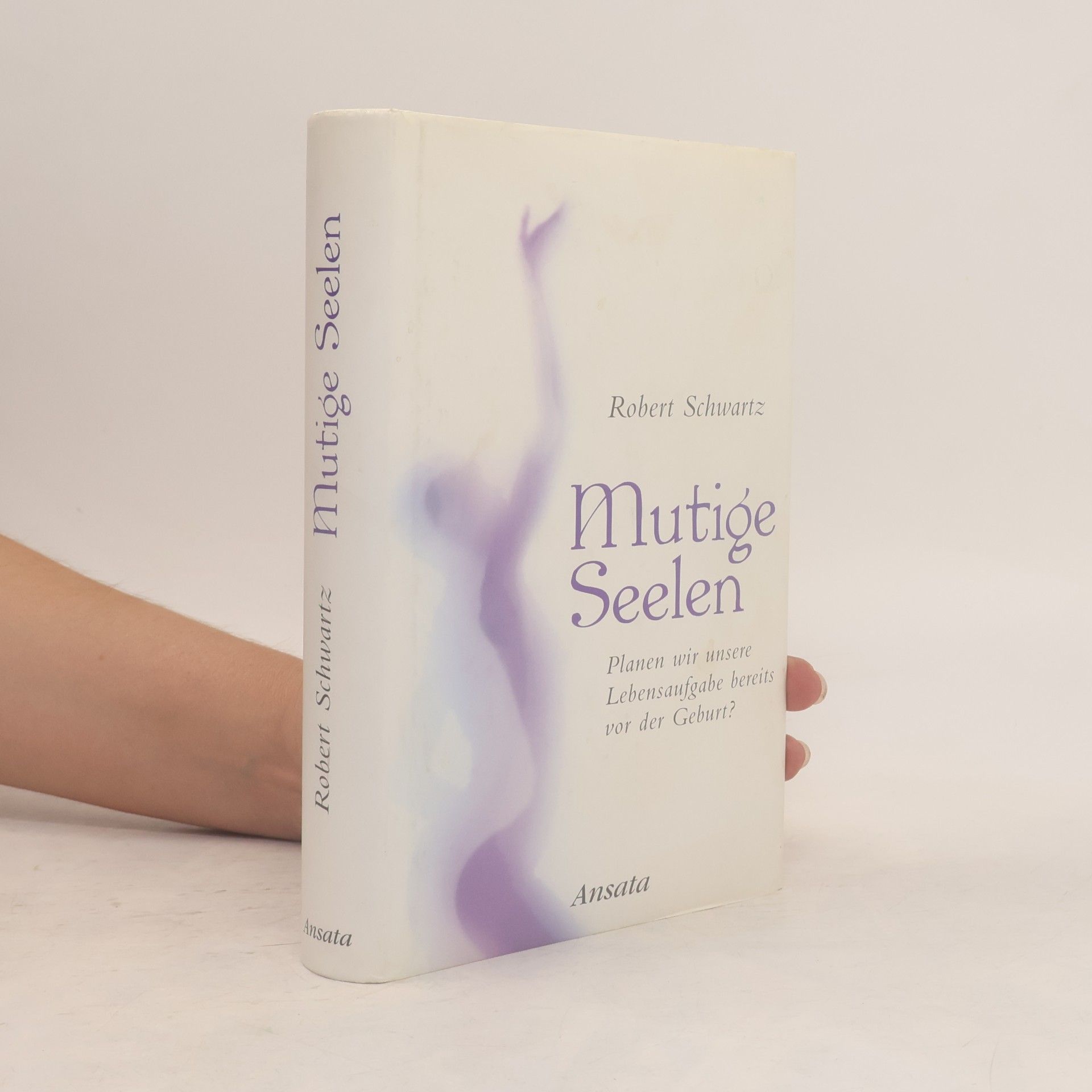 Robert Schwartz Mutige Seelen