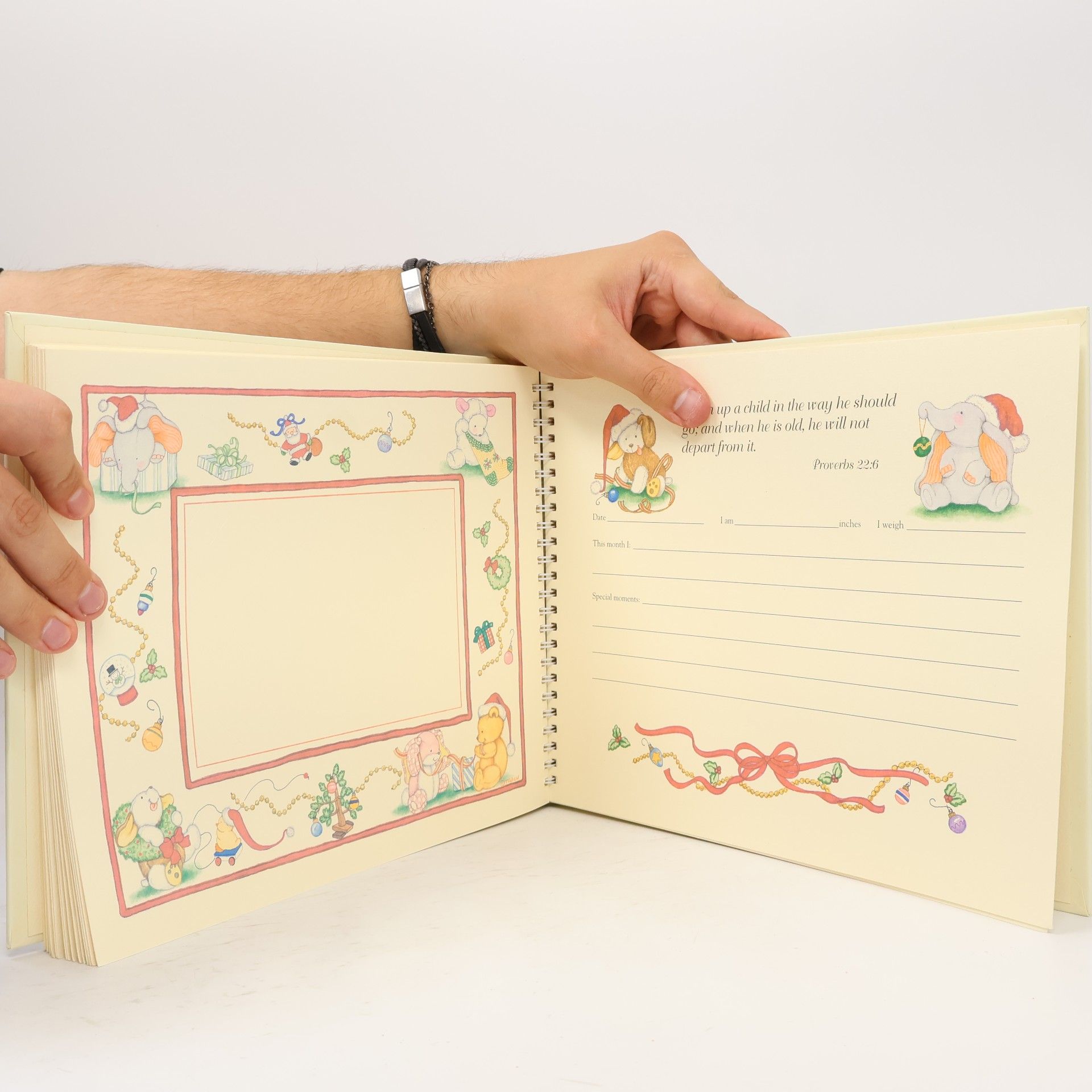 Tracy Flickinger The Perfect Baby Book