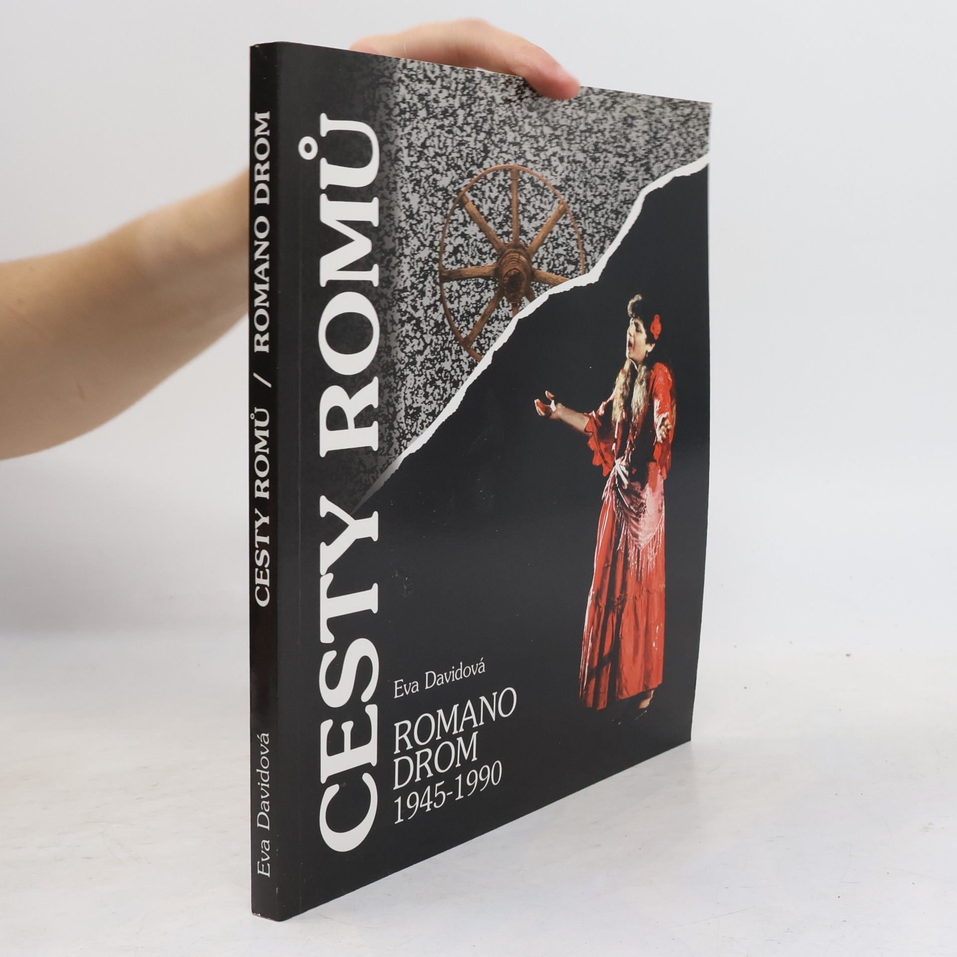Eva Davidová Cesty Romů - Romano drom 1945-1990