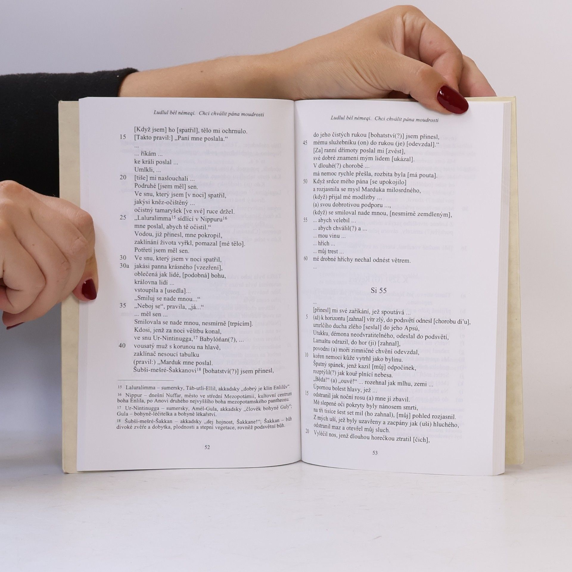 Jiří Prosecký Prameny moudrosti. Mudroslovná literatura staré Mezopotámie