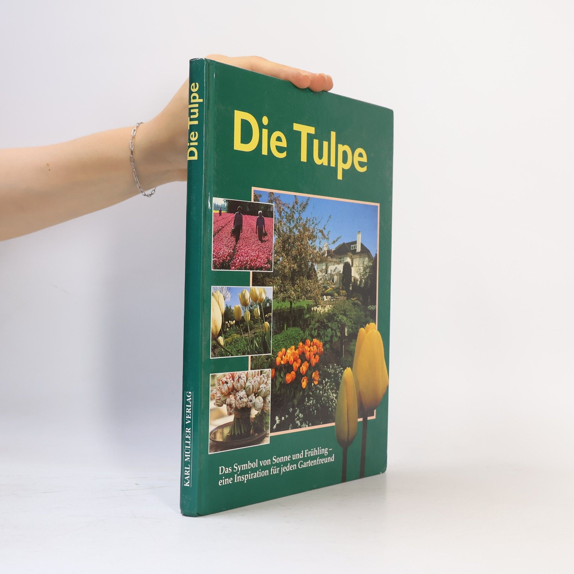 Die Tulpe - Das Symbol von Sonne und Frühling - Eine Inspiration für jeden Gartenfreund