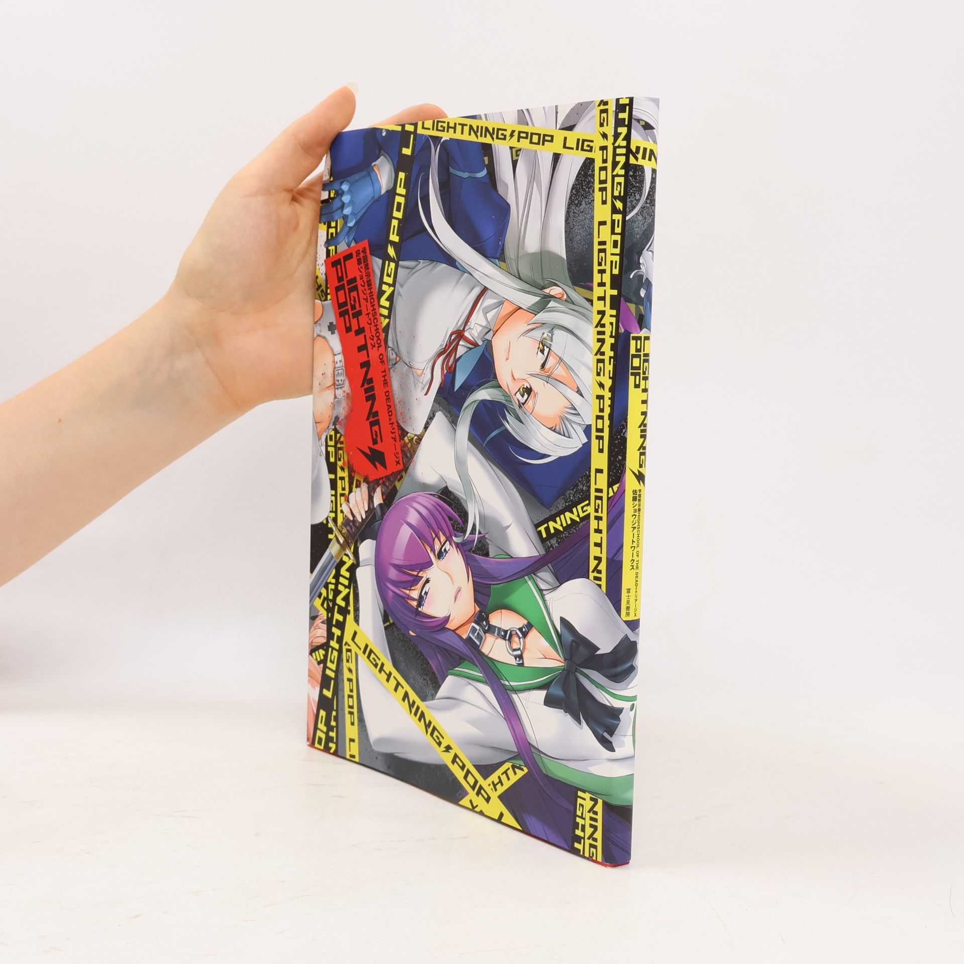 佐藤ショウジアートワークス. Lightning Pop: Shouji Sato Artworks