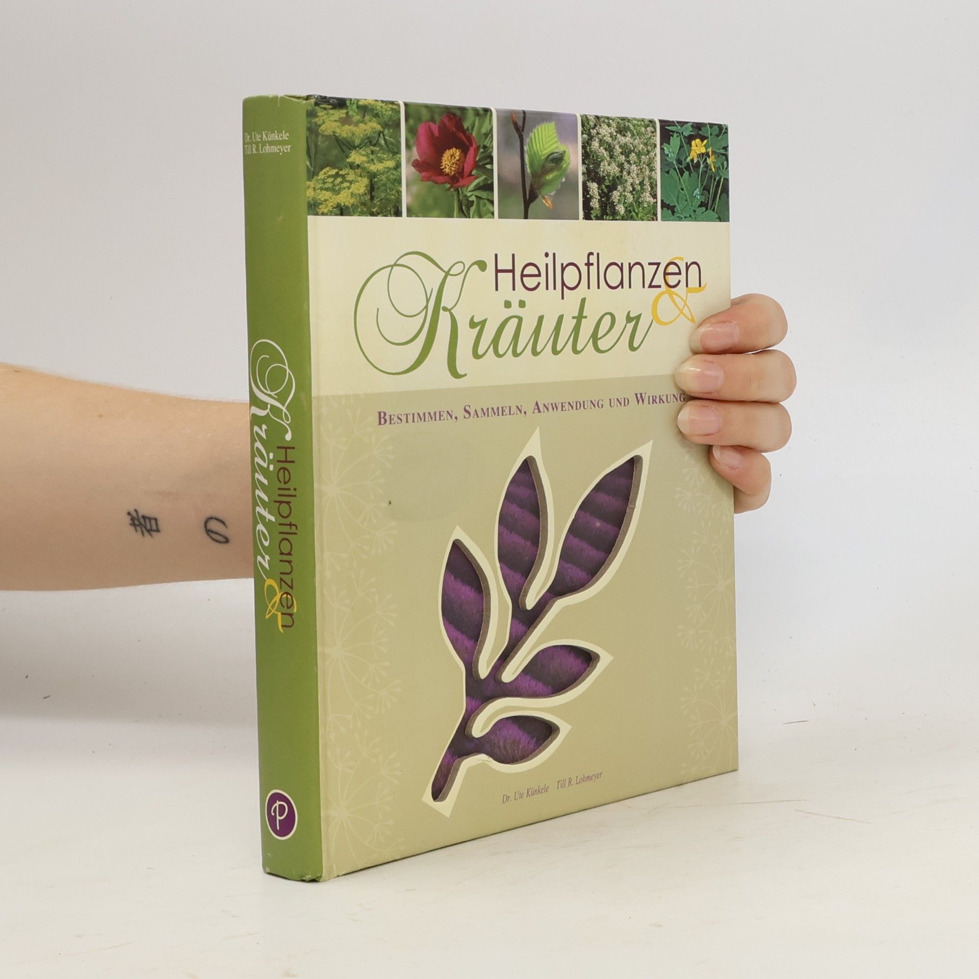 Ute Künkele Heilpflanzen & Kräuter: Bestimmen, Sammeln, Anwendung und Wirkung