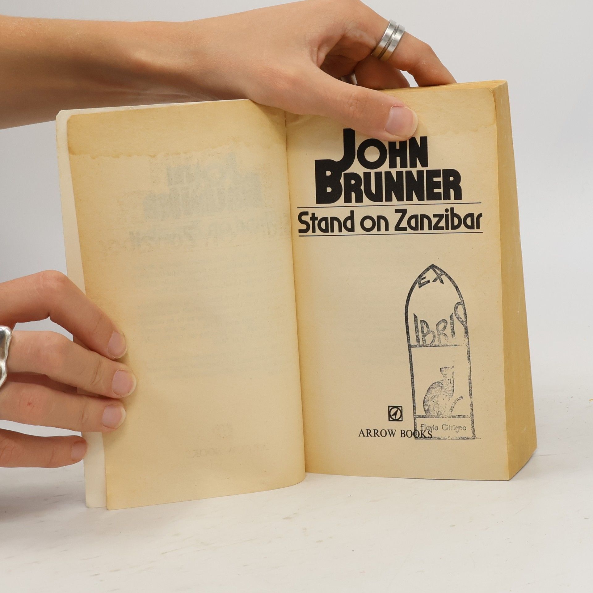 John Brunner Stand on Zanzibar