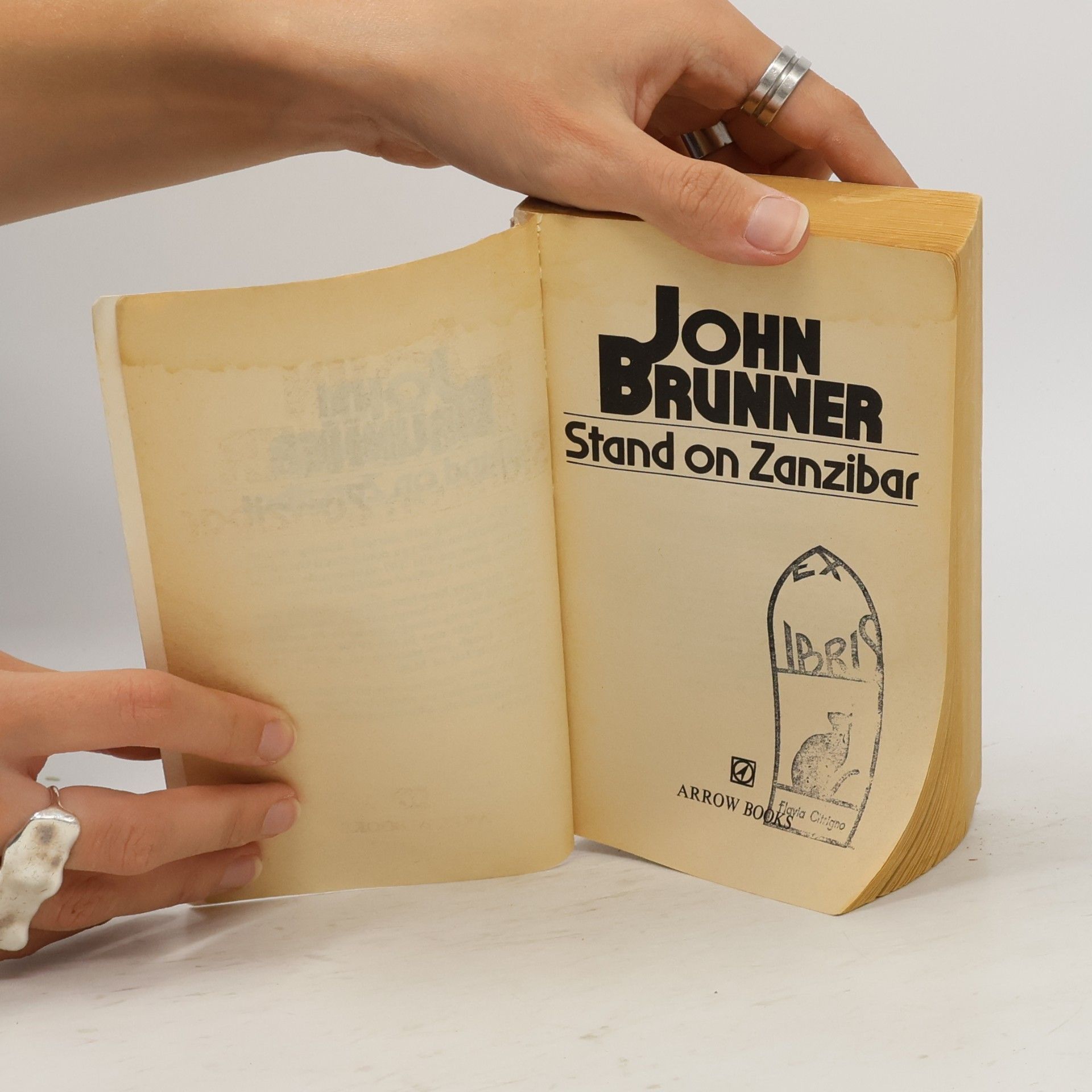 John Brunner Stand on Zanzibar