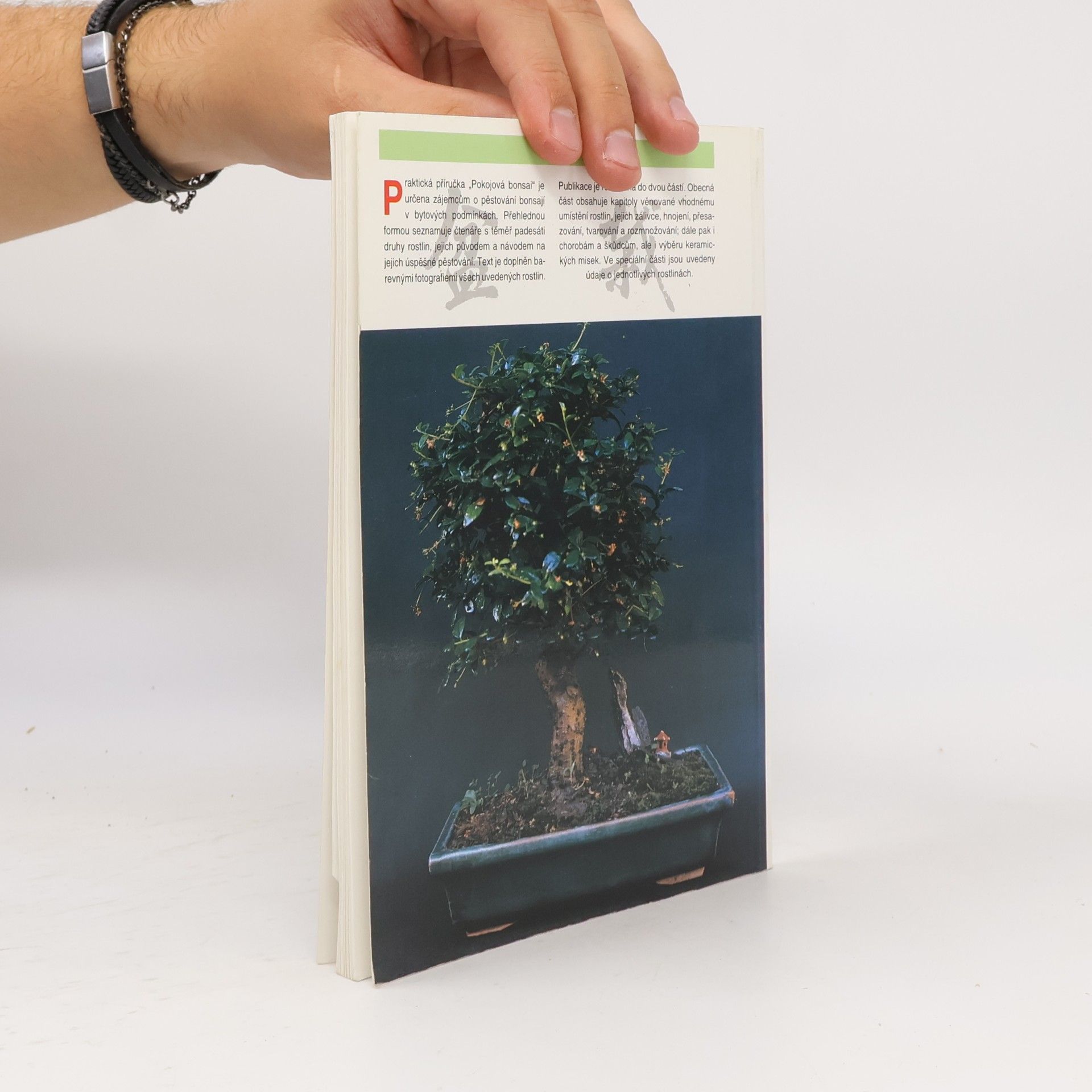 Jindřich Votýpka Pokojová bonsai
