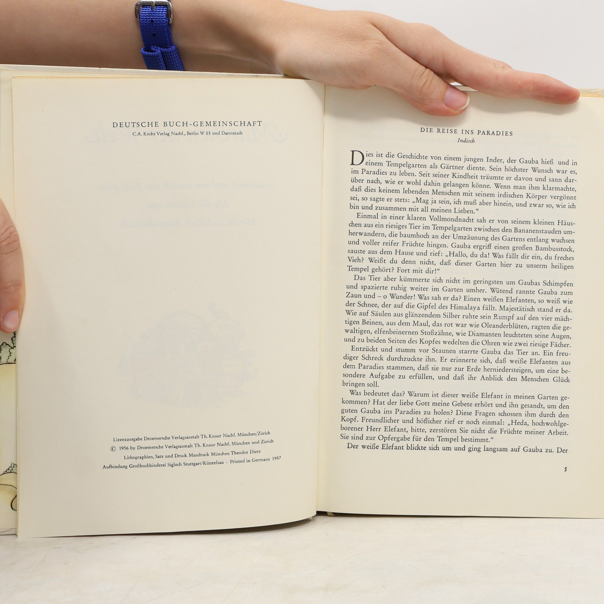 Autorenkollektiv Märchen der Welt