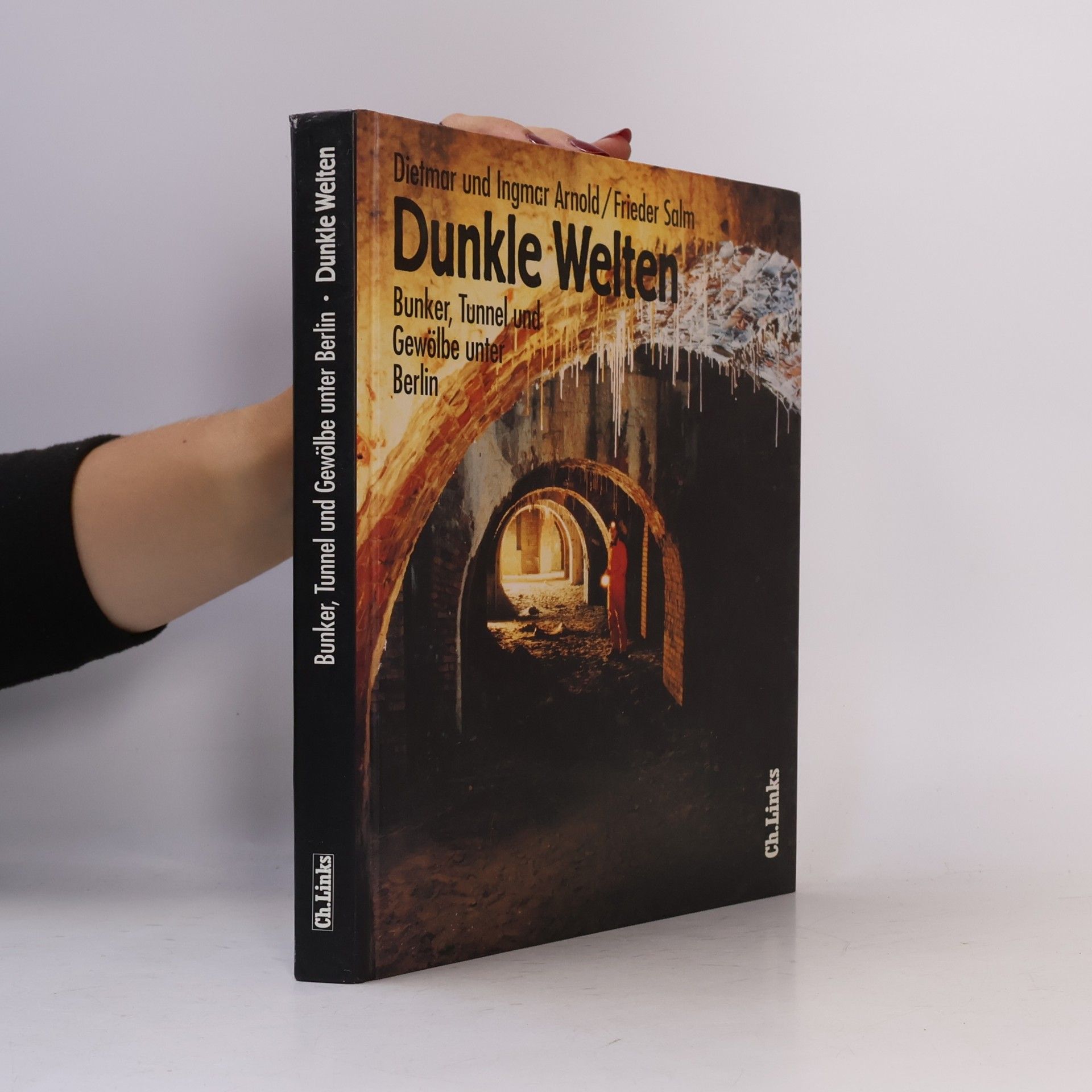 Frieder Salm Dunkle Welten