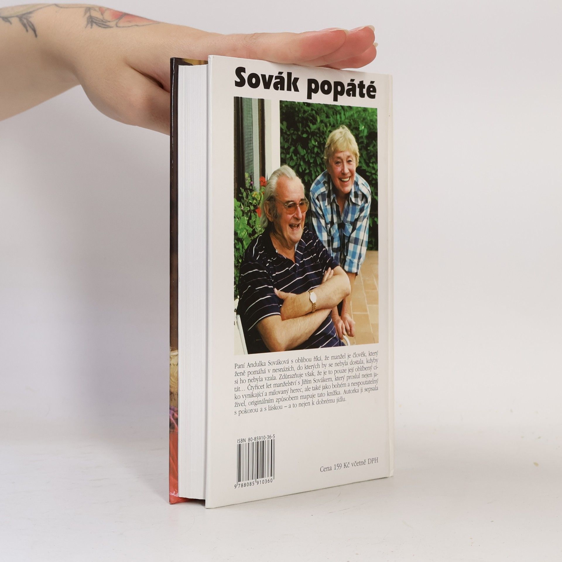 Anna Sováková Sovák popáté. Život se Sovákem, aneb, Uragán