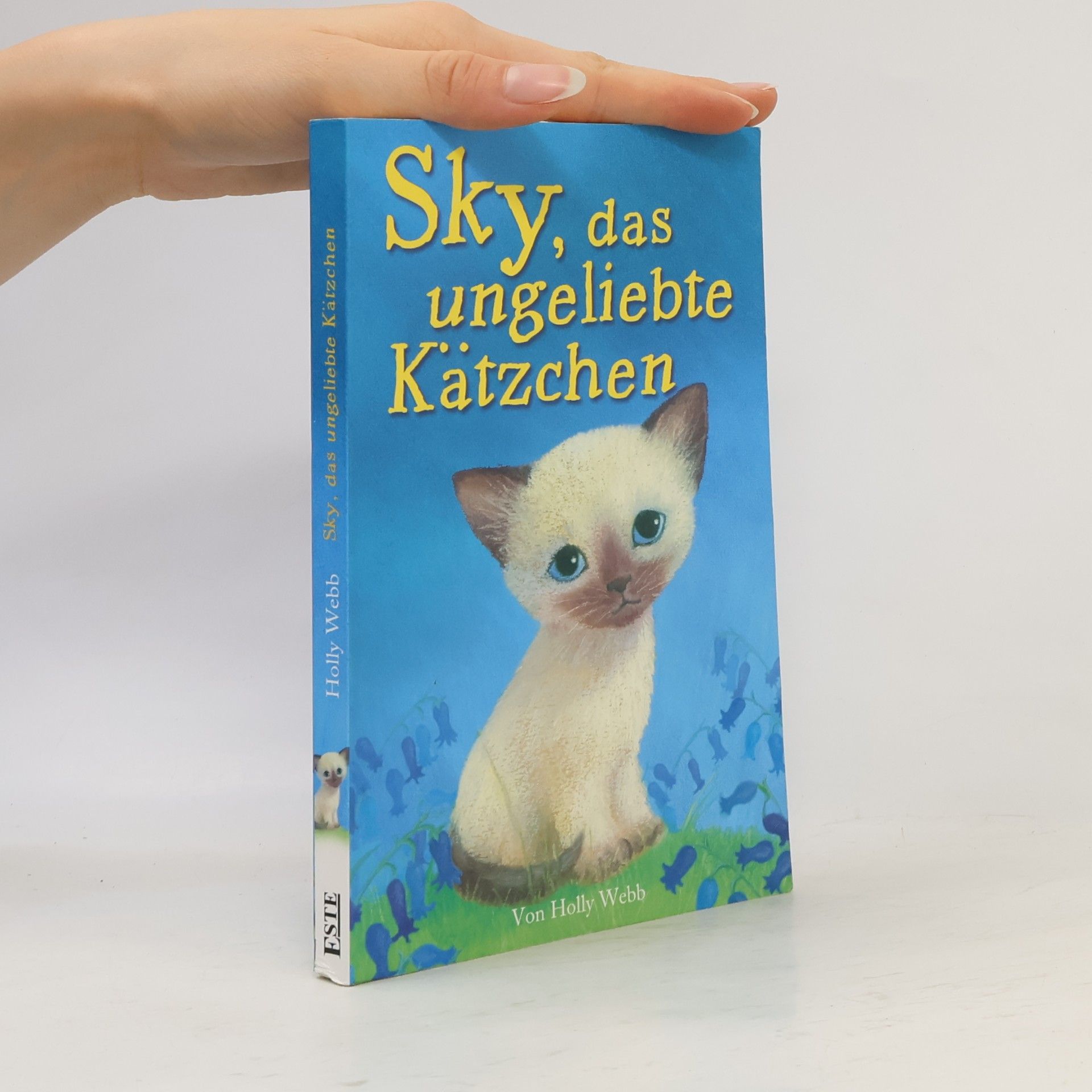 Holly Webb Sky, das ungeliebte Kätzchen