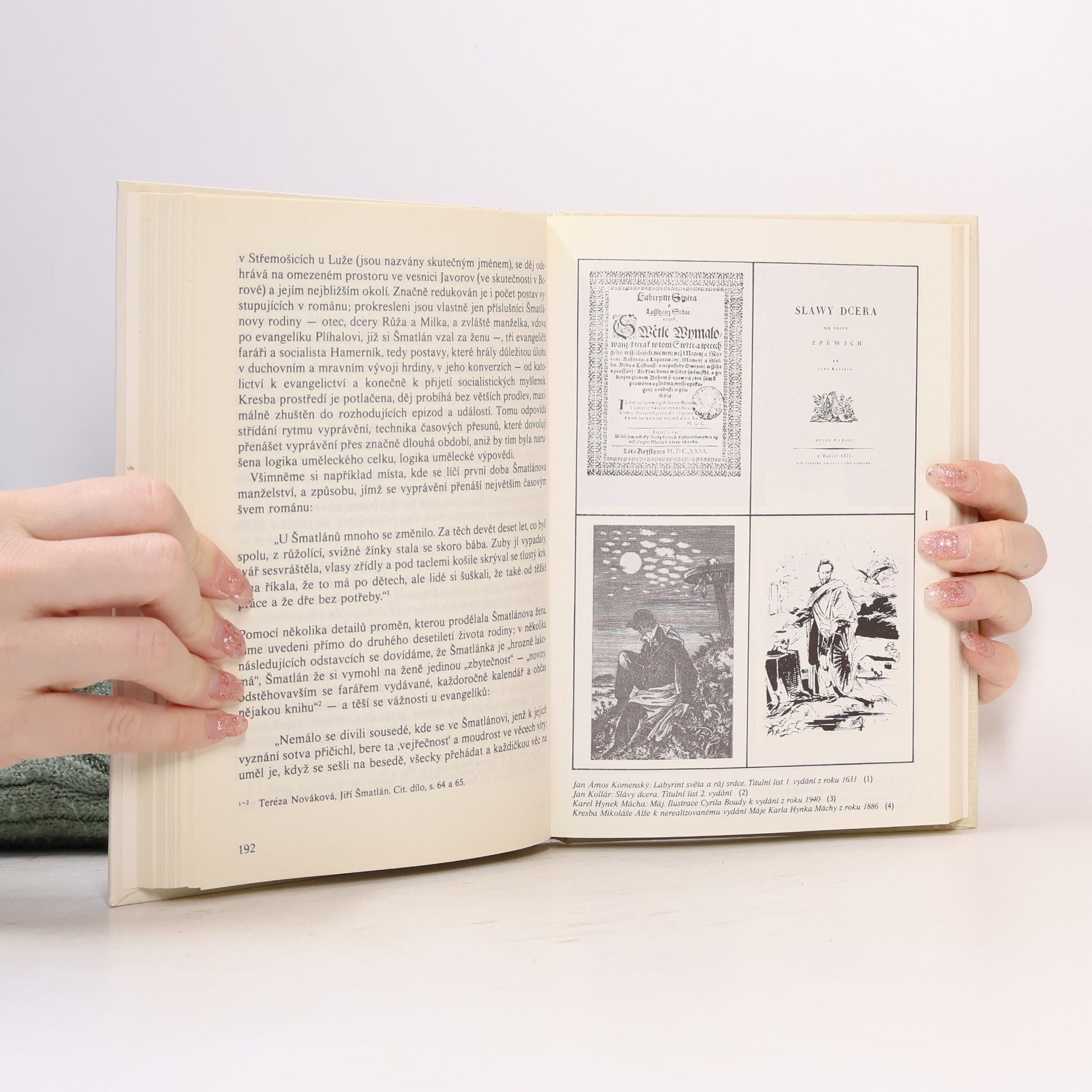 Milan Zeman Rozumět literatuře 1