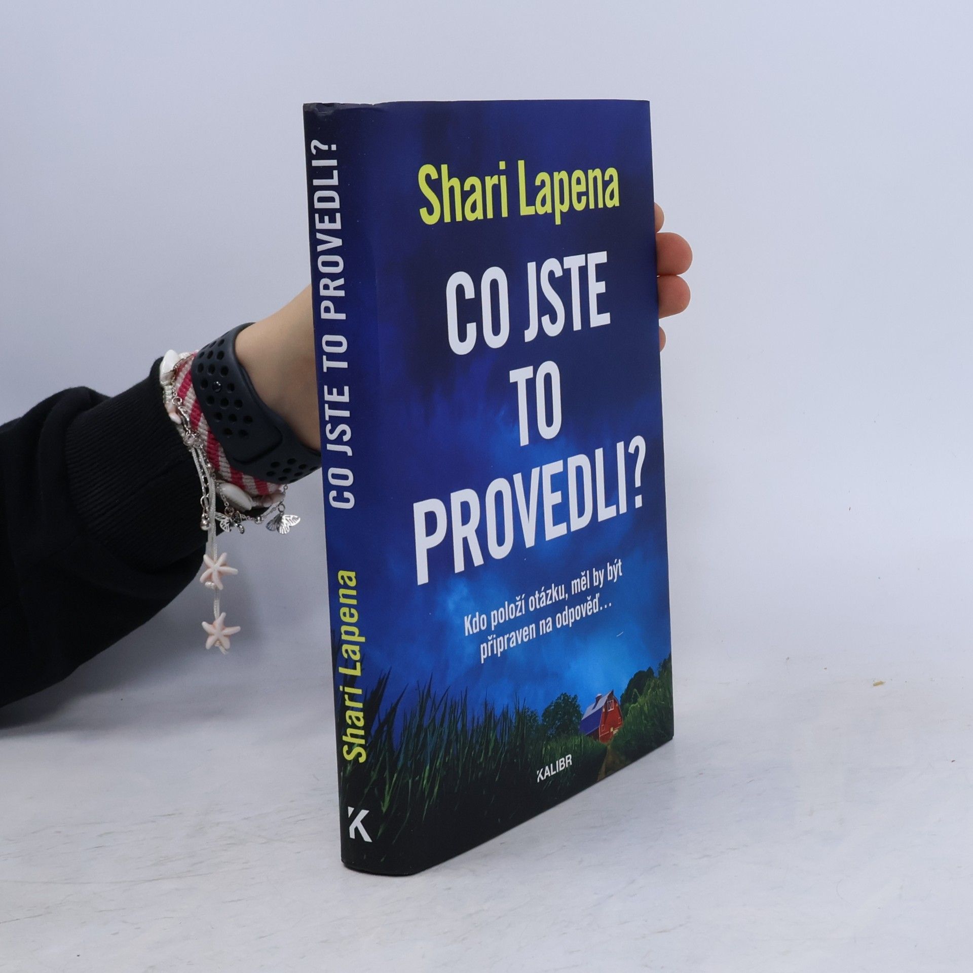 Shari Lapena Co jste to provedli?