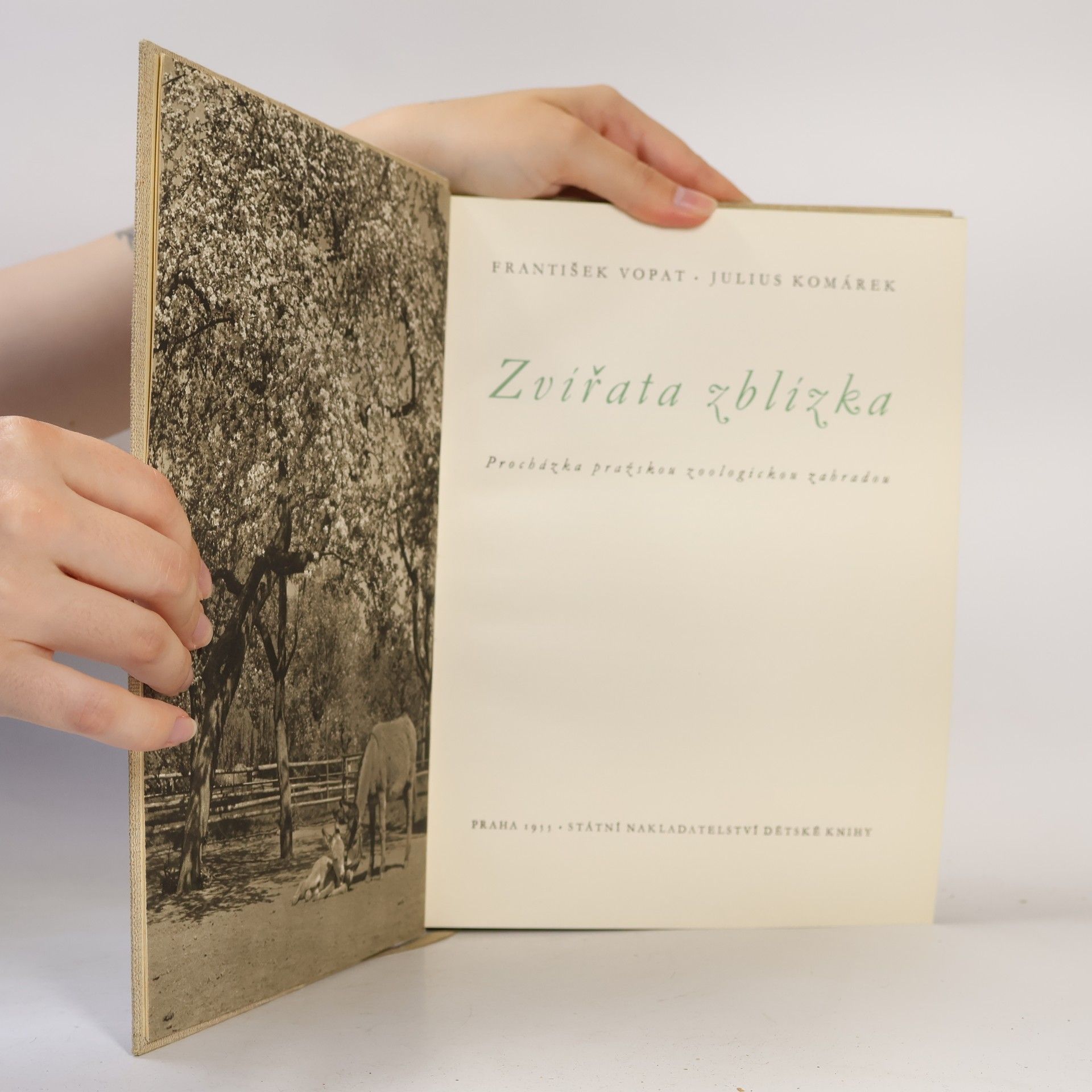 František Vopat Zvířátka zblízka
