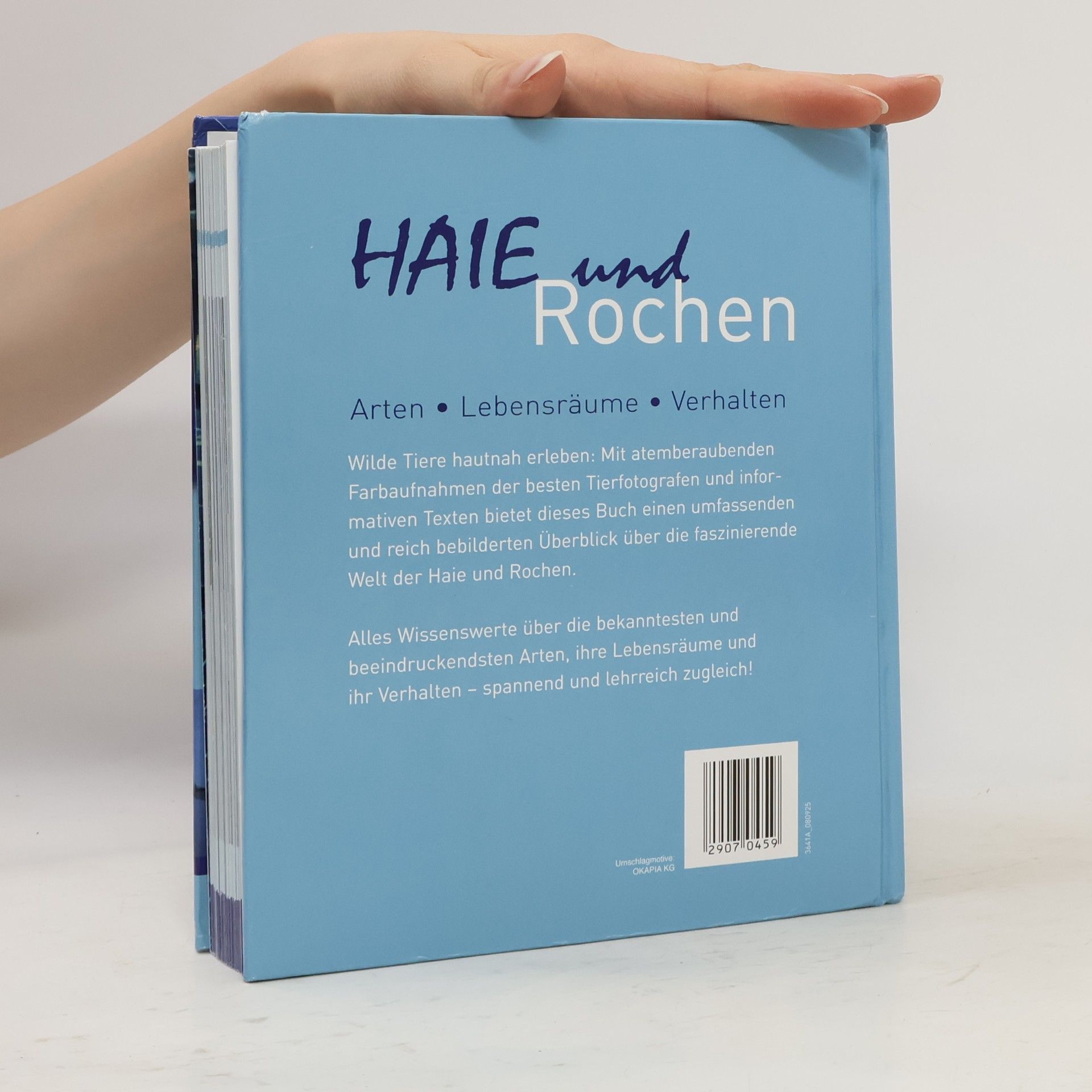 Autorenkollektiv Haie und Rochen