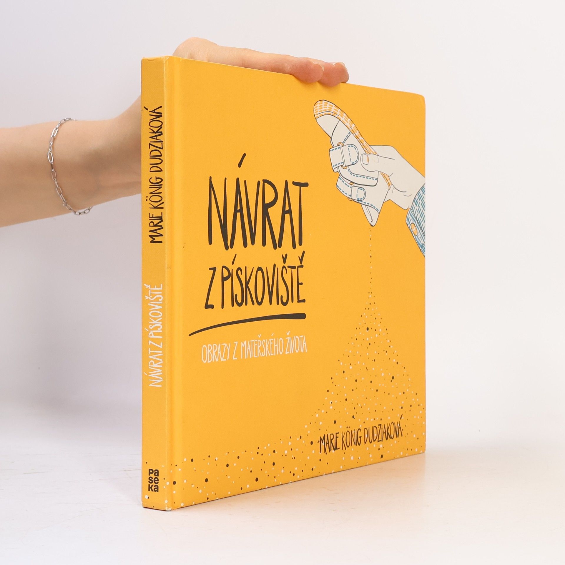 Marie König Dudziaková Návrat z pískoviště : obrazy z mateřského života