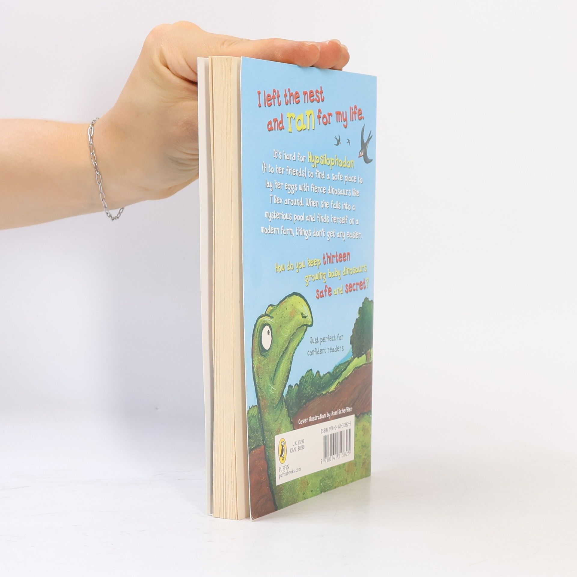 Julia Donaldson The Dinosaur's Diary