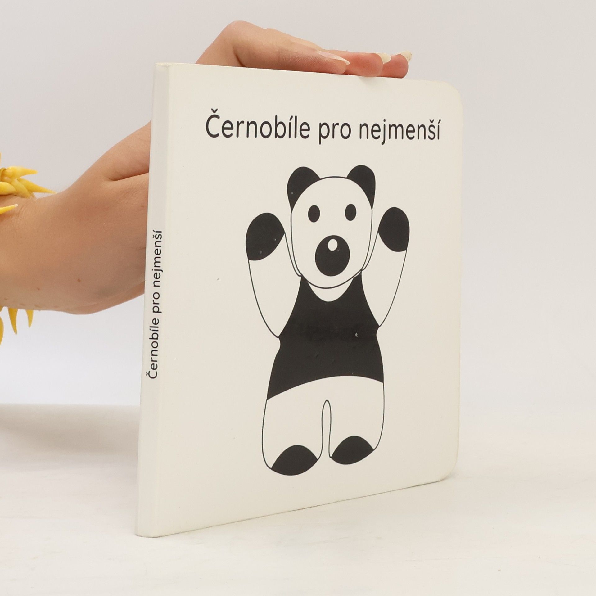 Autorenkollektiv Černobíle pro nejmenší