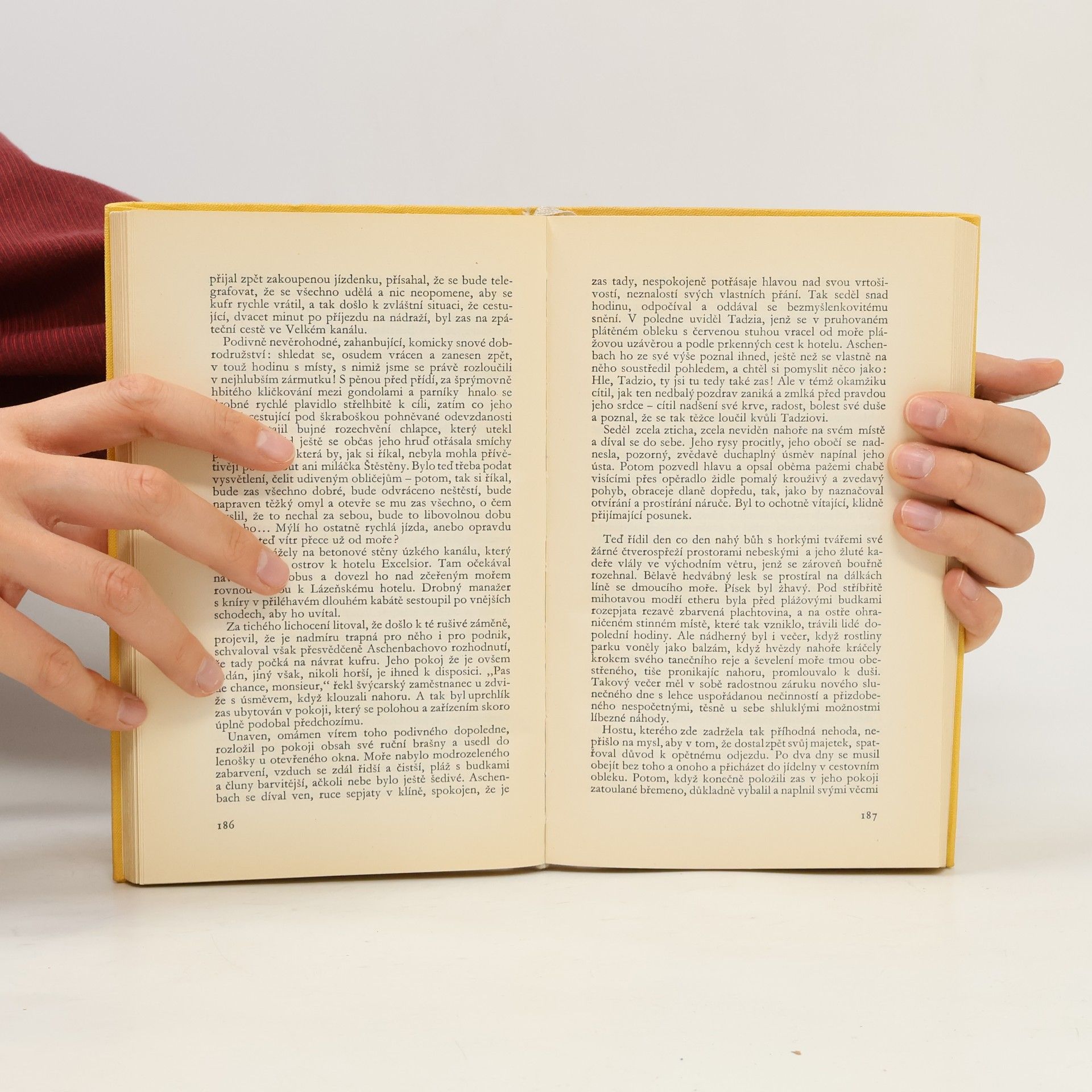 Thomas Mann Novely a povídky I.