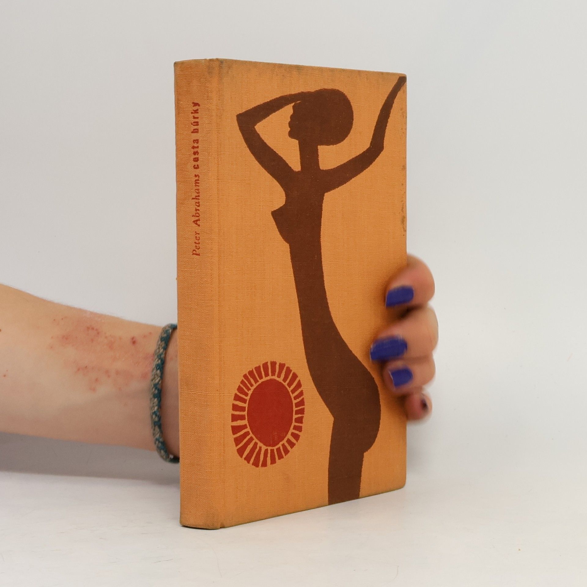Peter Abrahams Cesta búrky