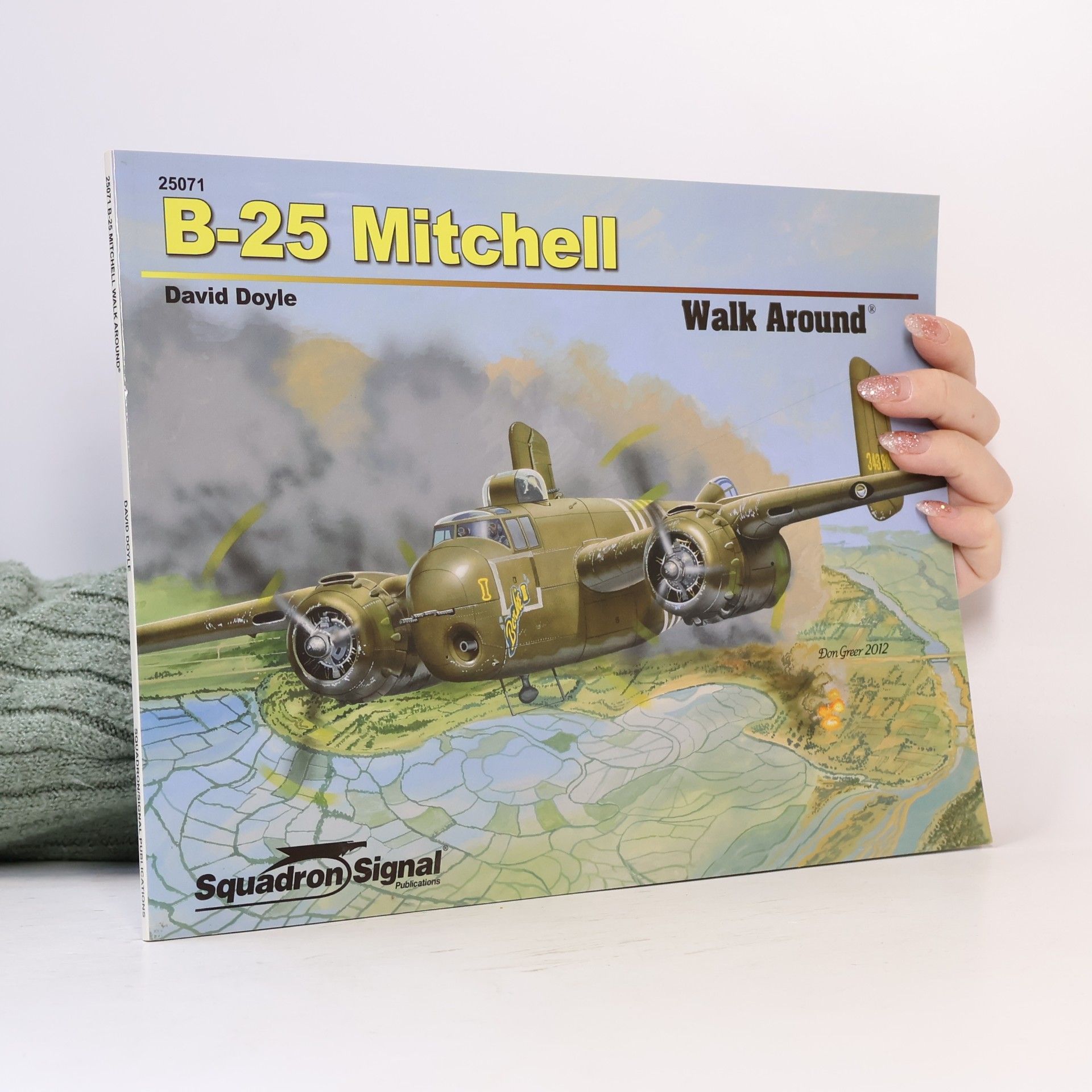 David Doyle Walk Around: B-25 Mitchell