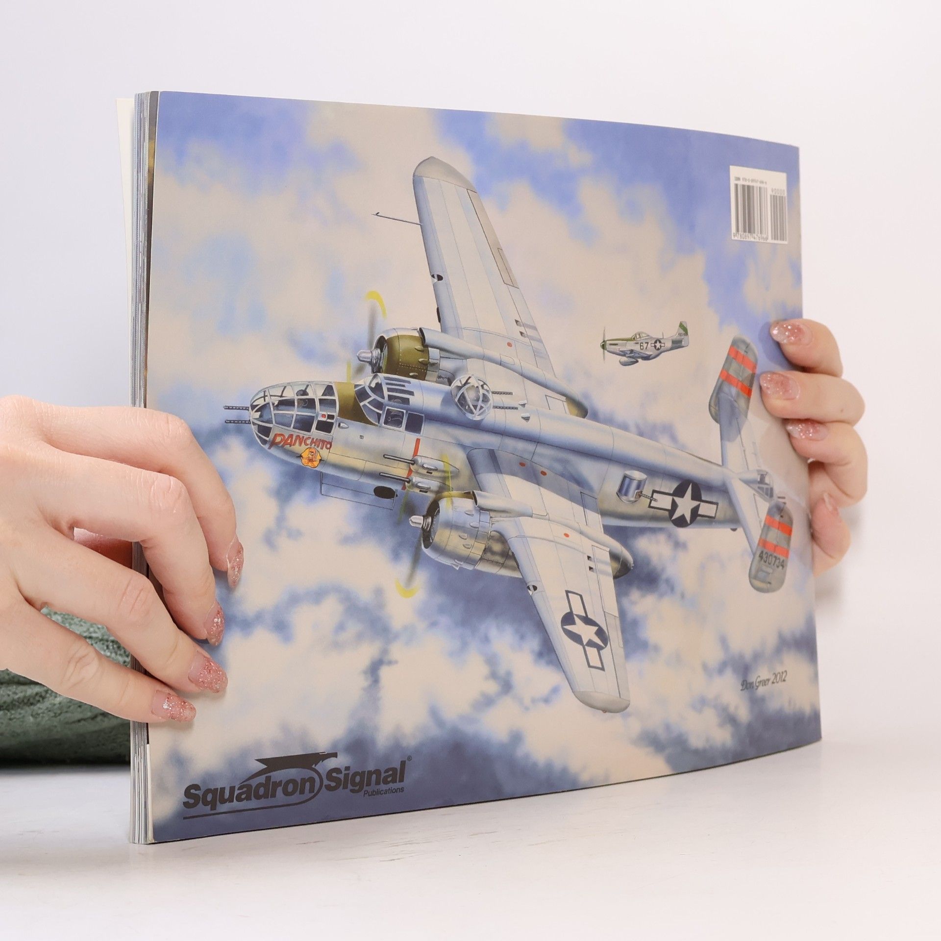 David Doyle Walk Around: B-25 Mitchell