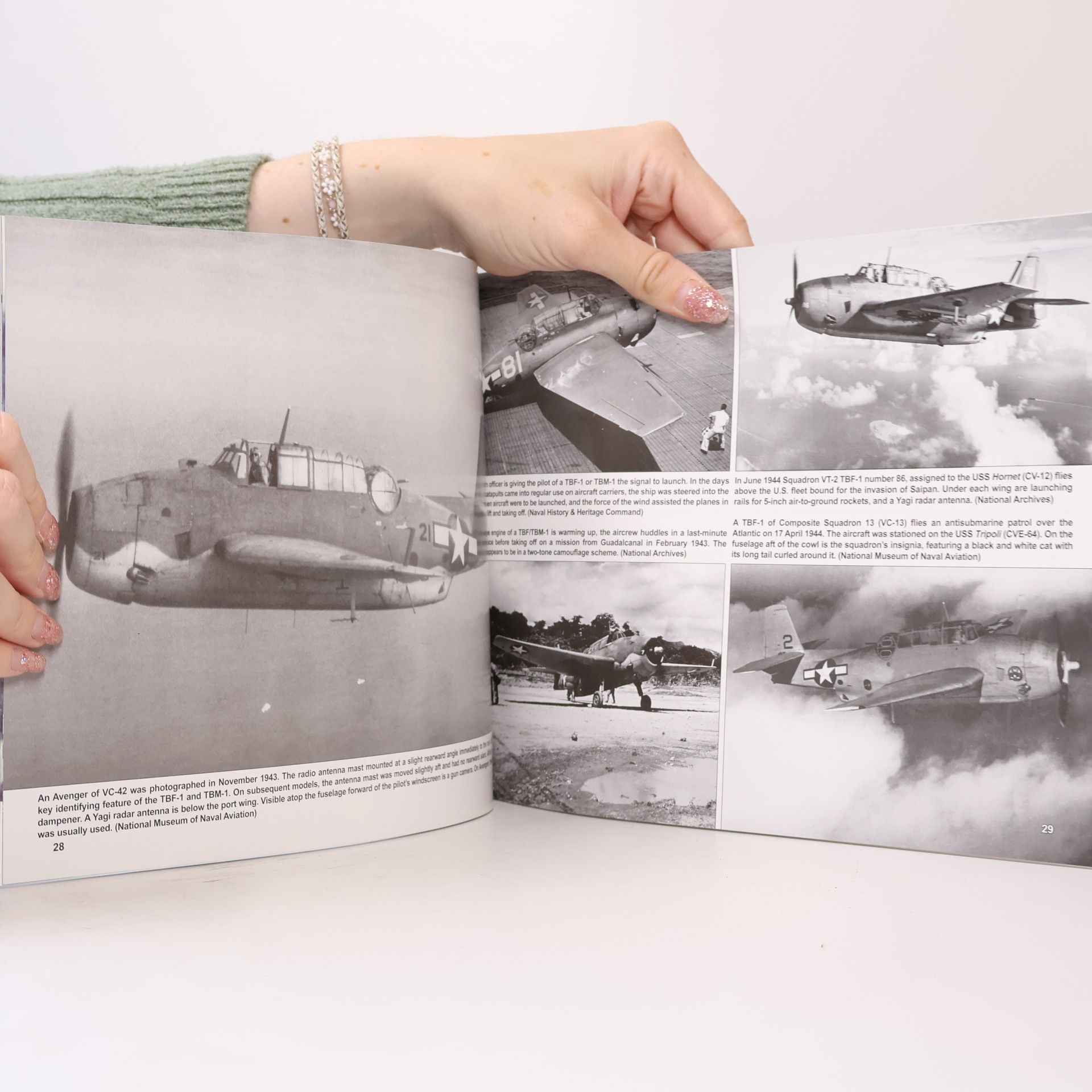 David Doyle TBF/TBM Avenger in Action