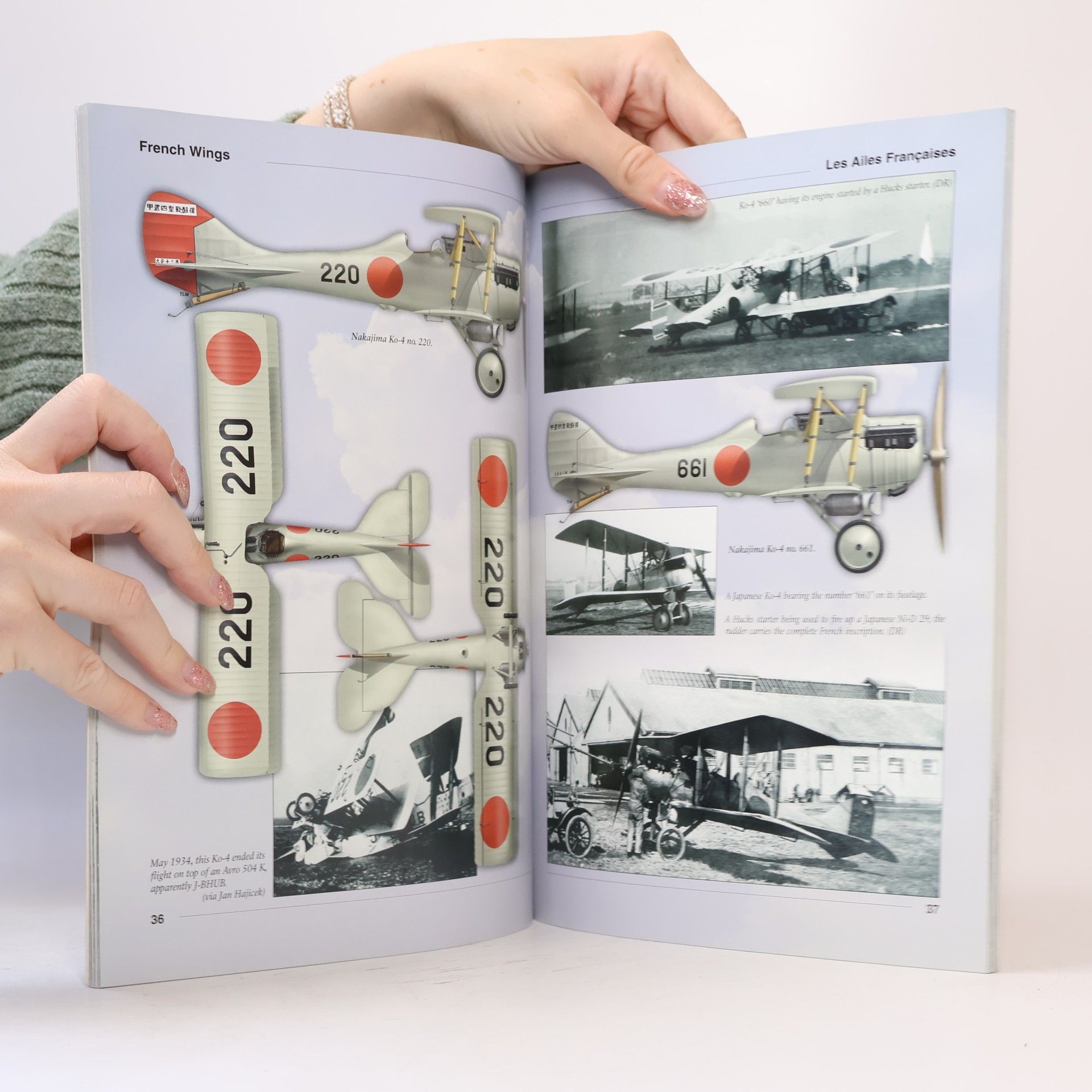 José Fernandez French Wings - 2: Nieuport-Delage Ni-D 29 & Ni-D 62 Family