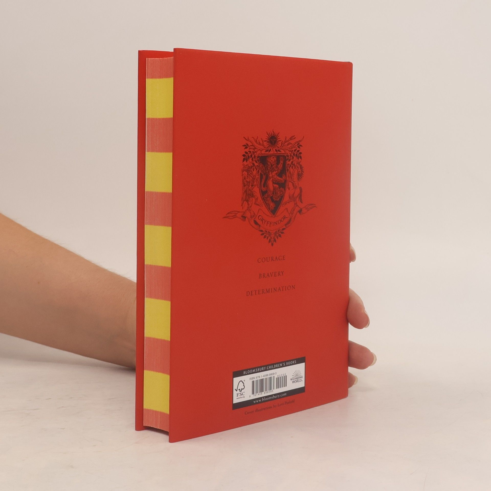 Joanne K. Rowlingová Harry Potter and the Chamber of Secrets - Gryffindor Edition