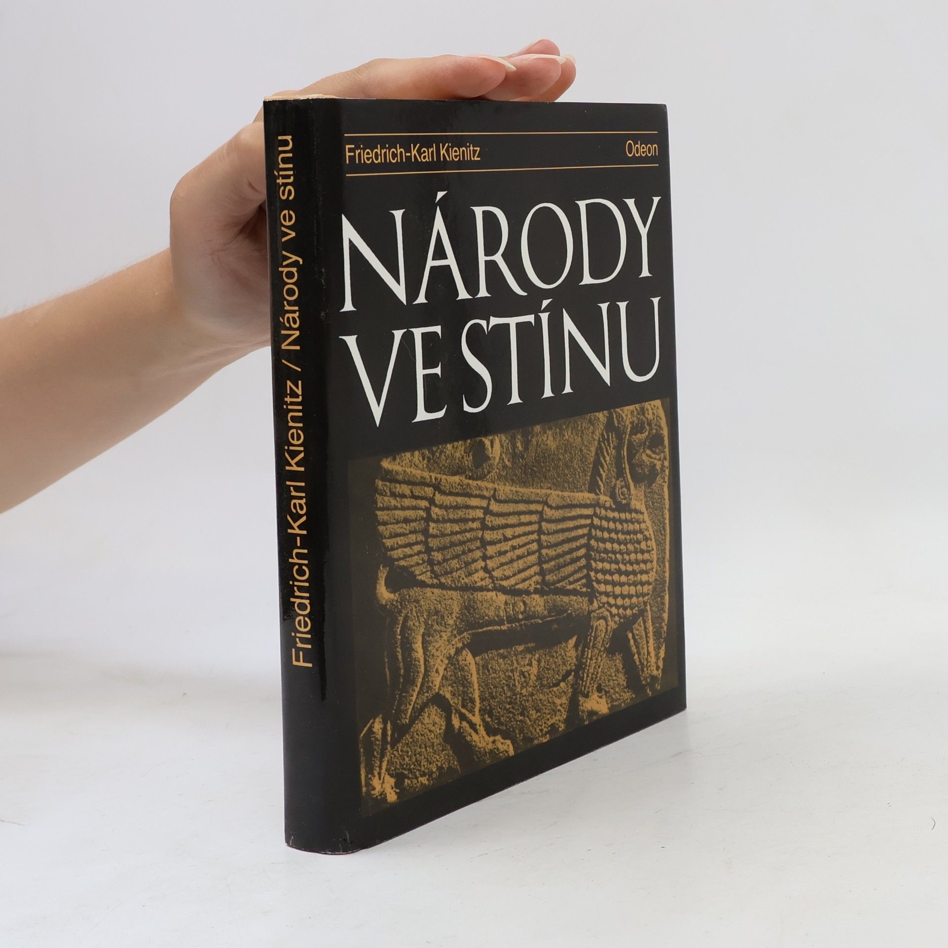 Friedrich Karl Kienitz Národy ve stínu