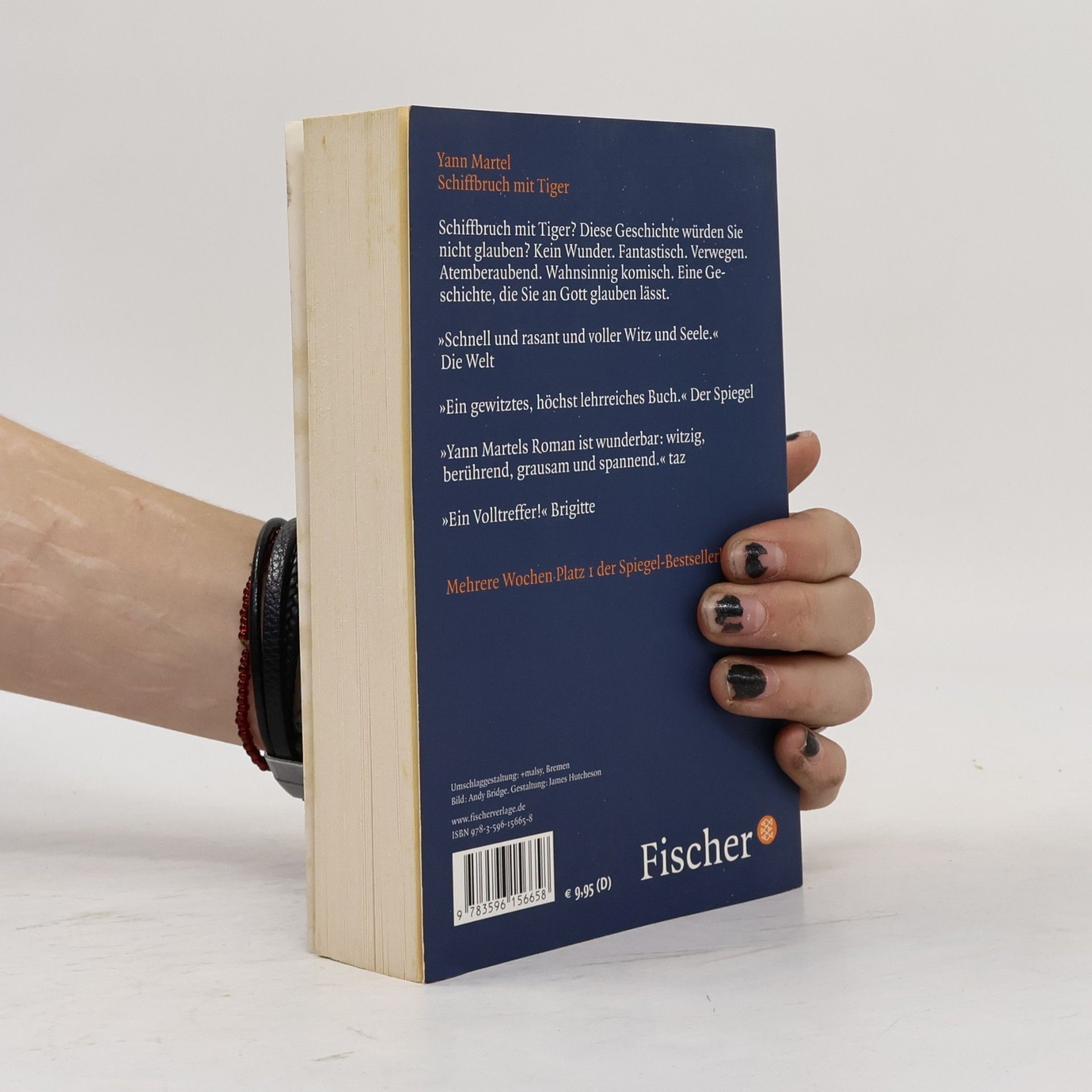 Yann Martel Schiffbruch mit Tiger