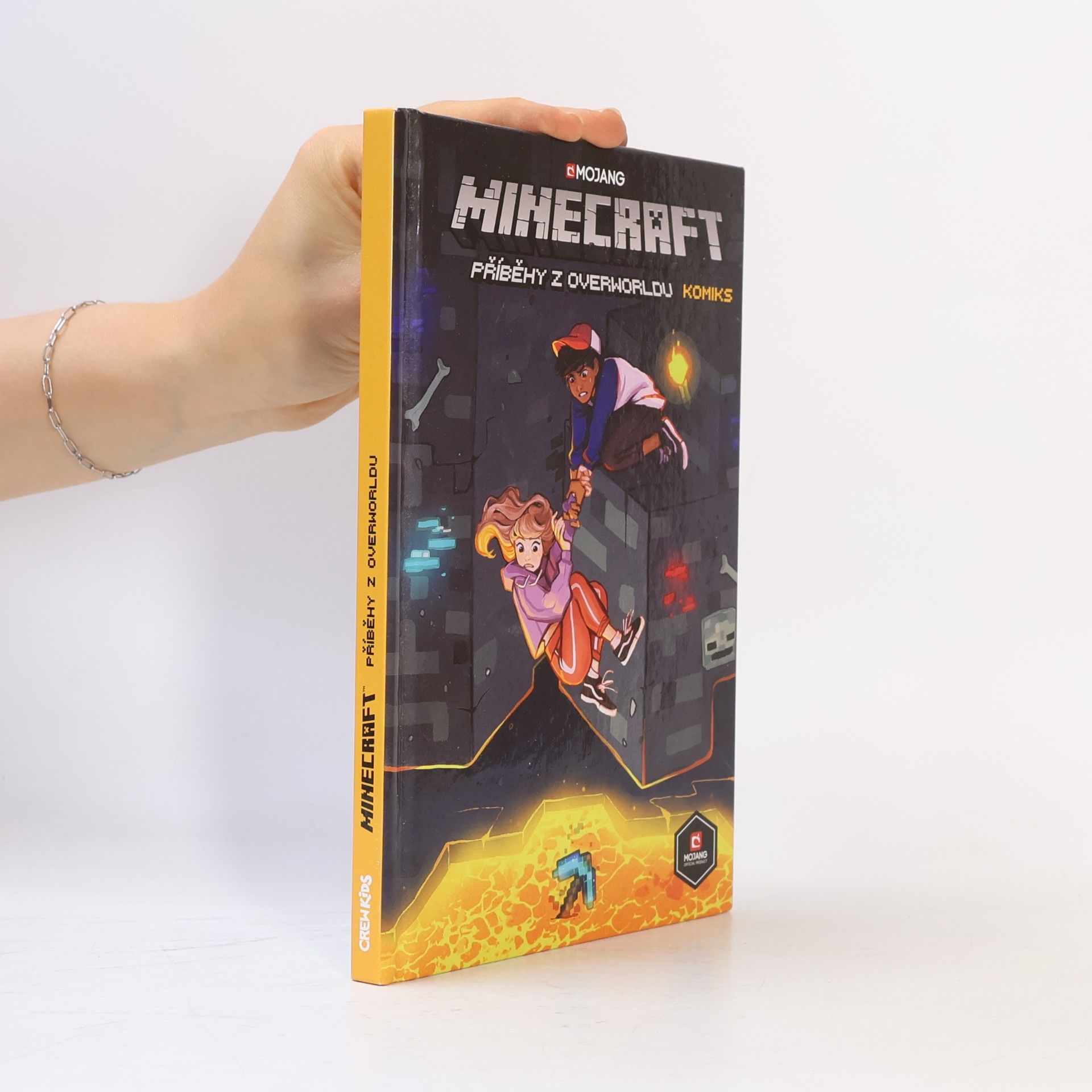Filip Škába Minecraft. Příběhy z Overworldu