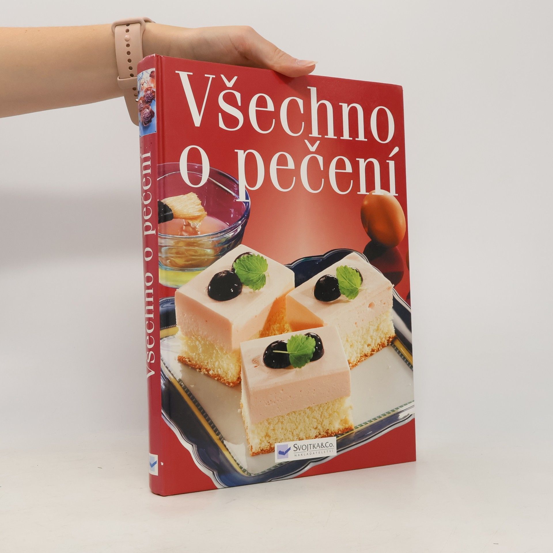 Autores varios Všechno o pečení