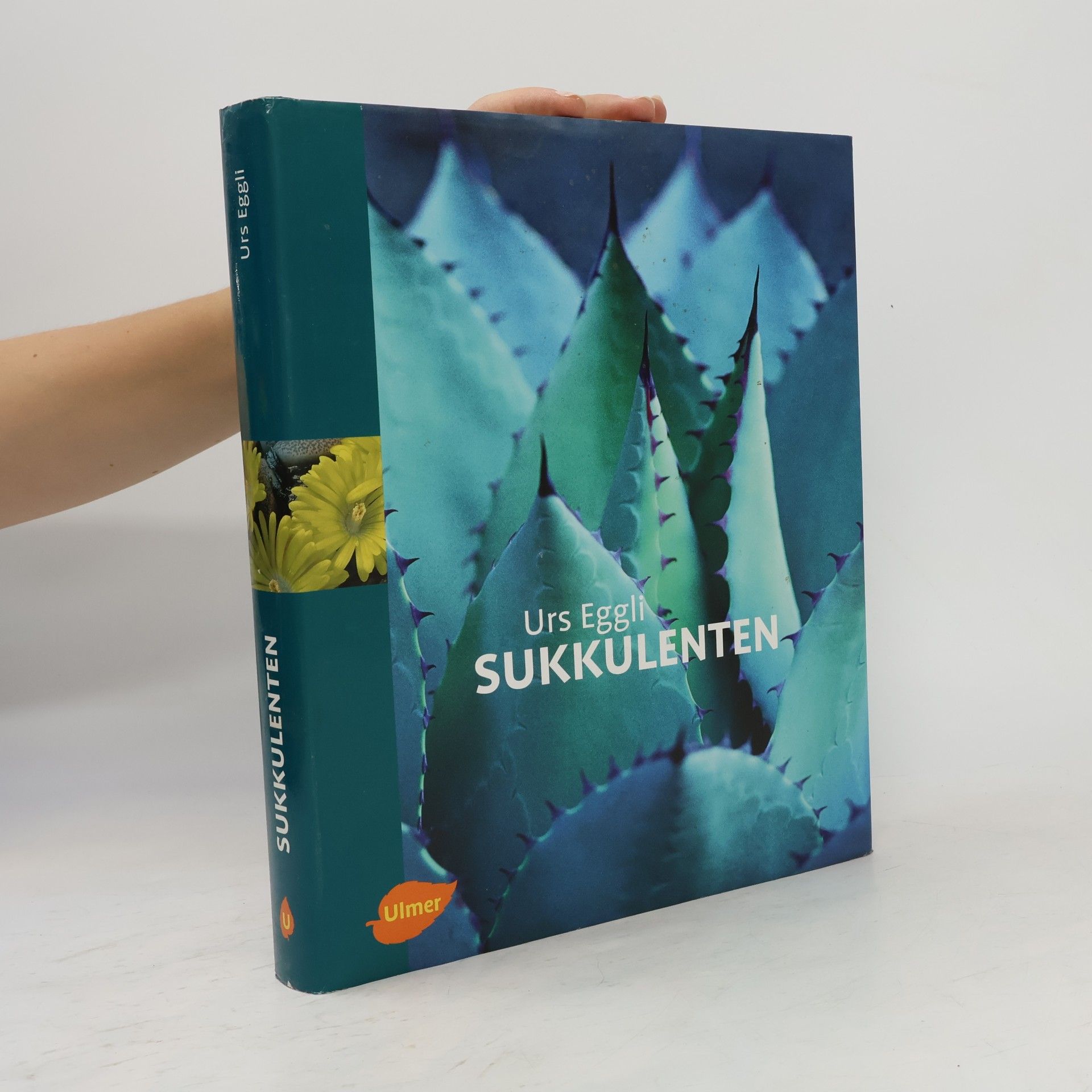 Sukkulenten