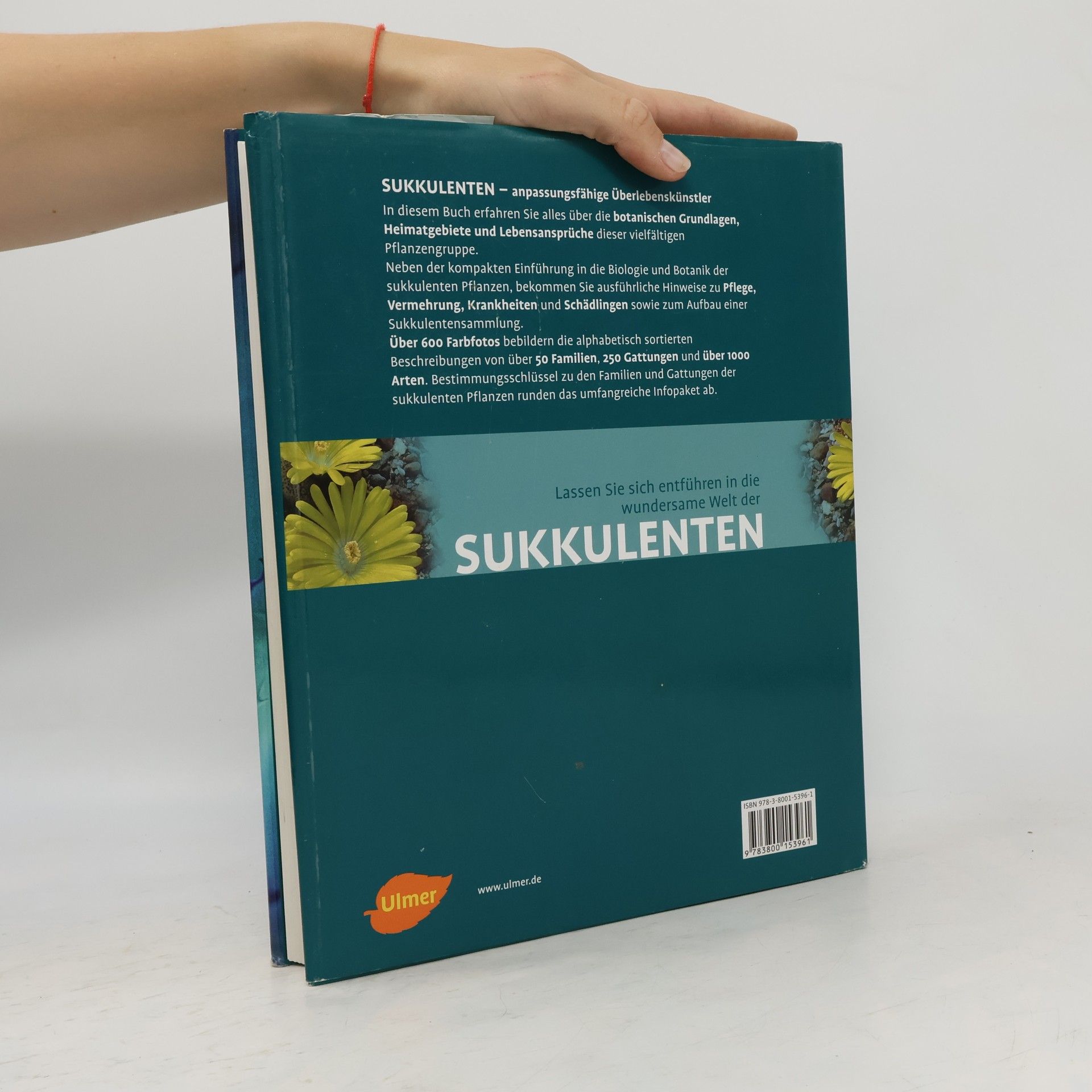 Urs Eggli Sukkulenten