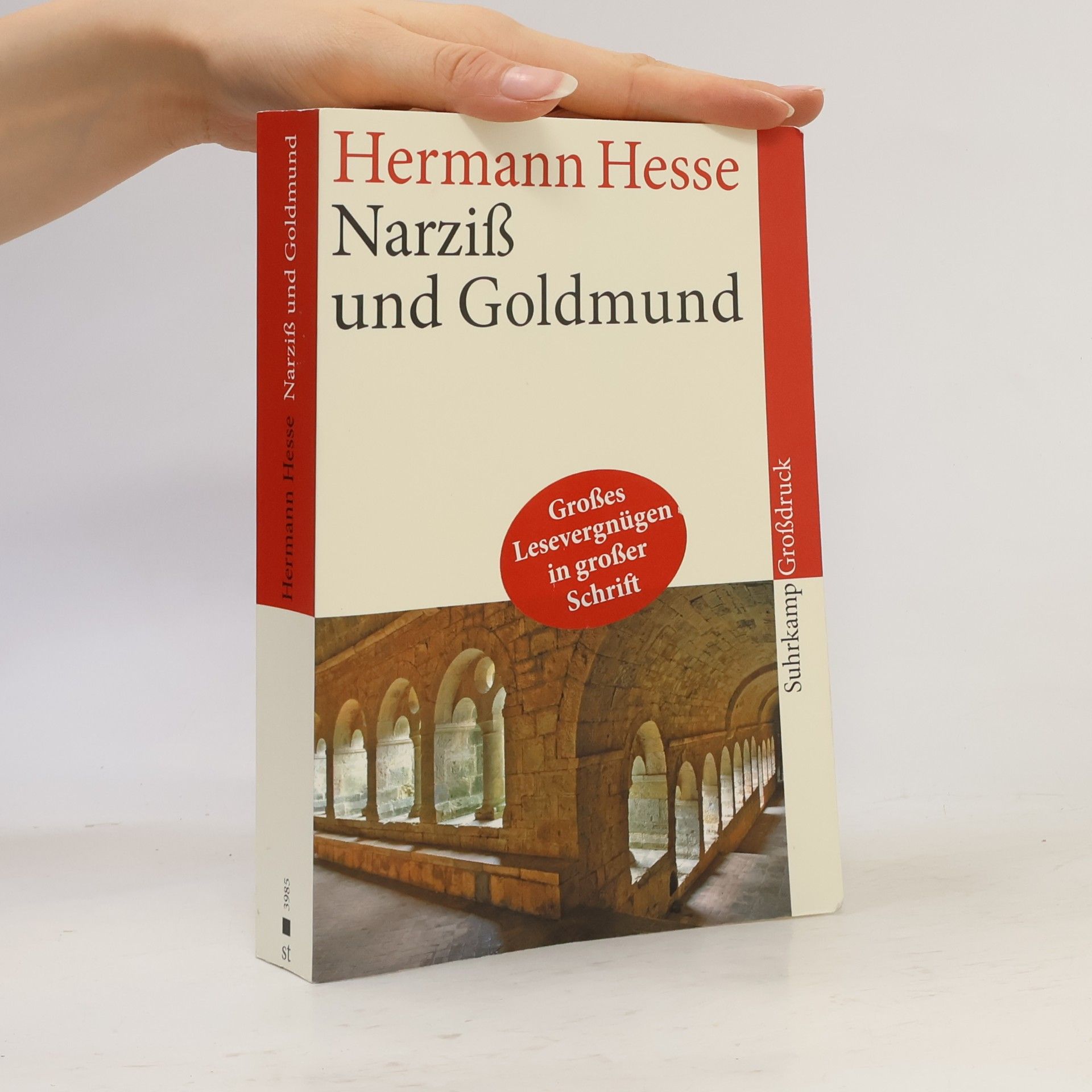Hermann Hesse Narziß und Goldmund