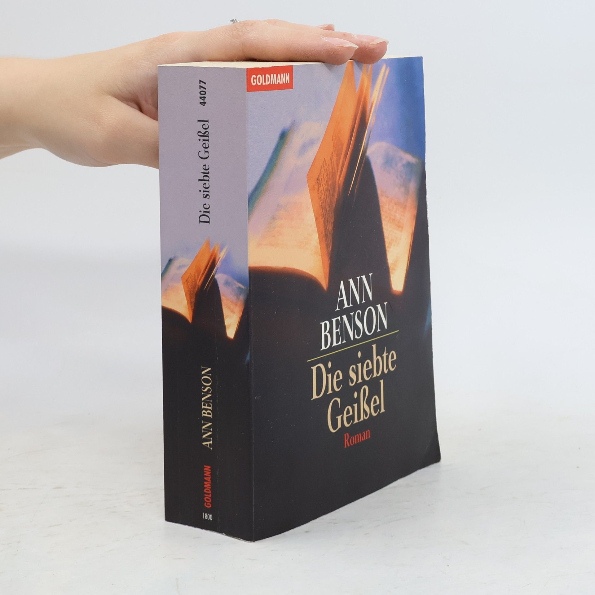 Ann Benson Die siebte Geißel