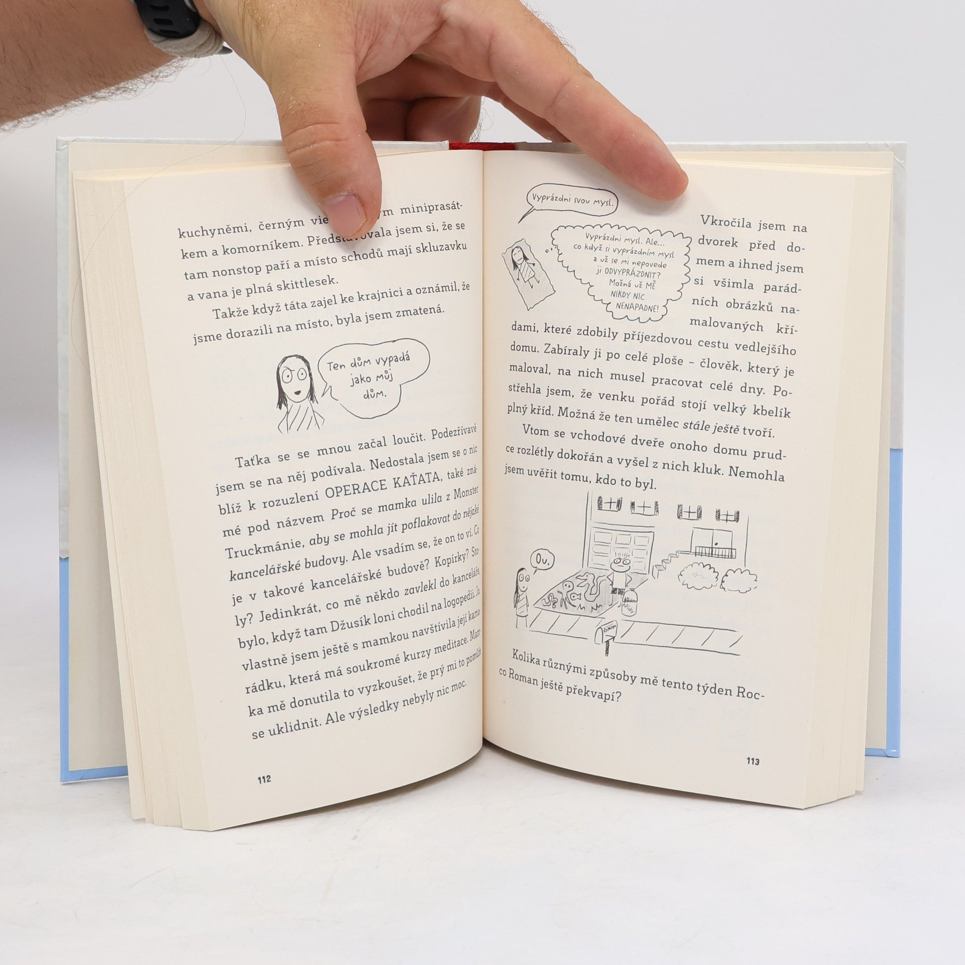 Sara Shepard Deník jedné páťačky
