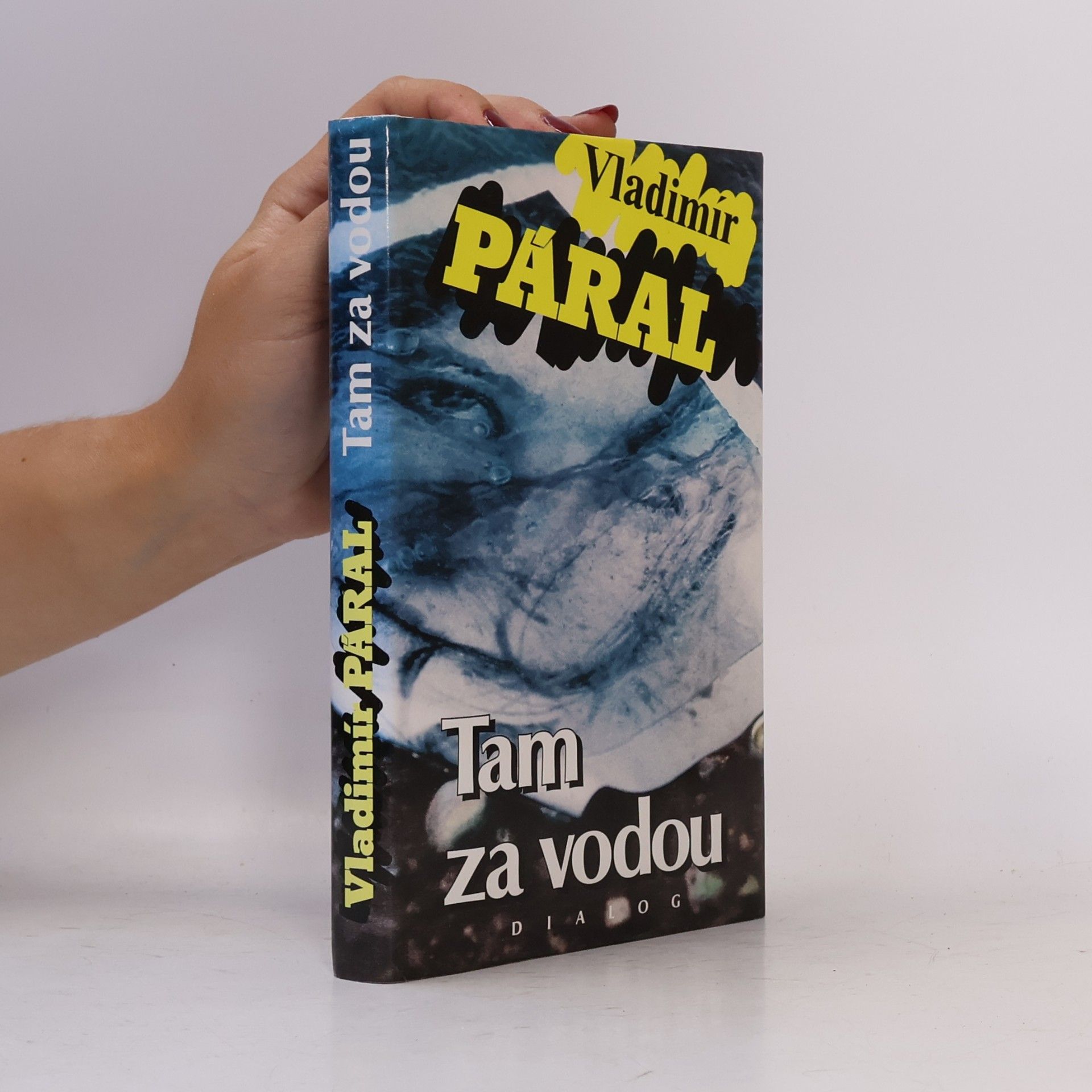 Vladimír Páral Tam za vodou